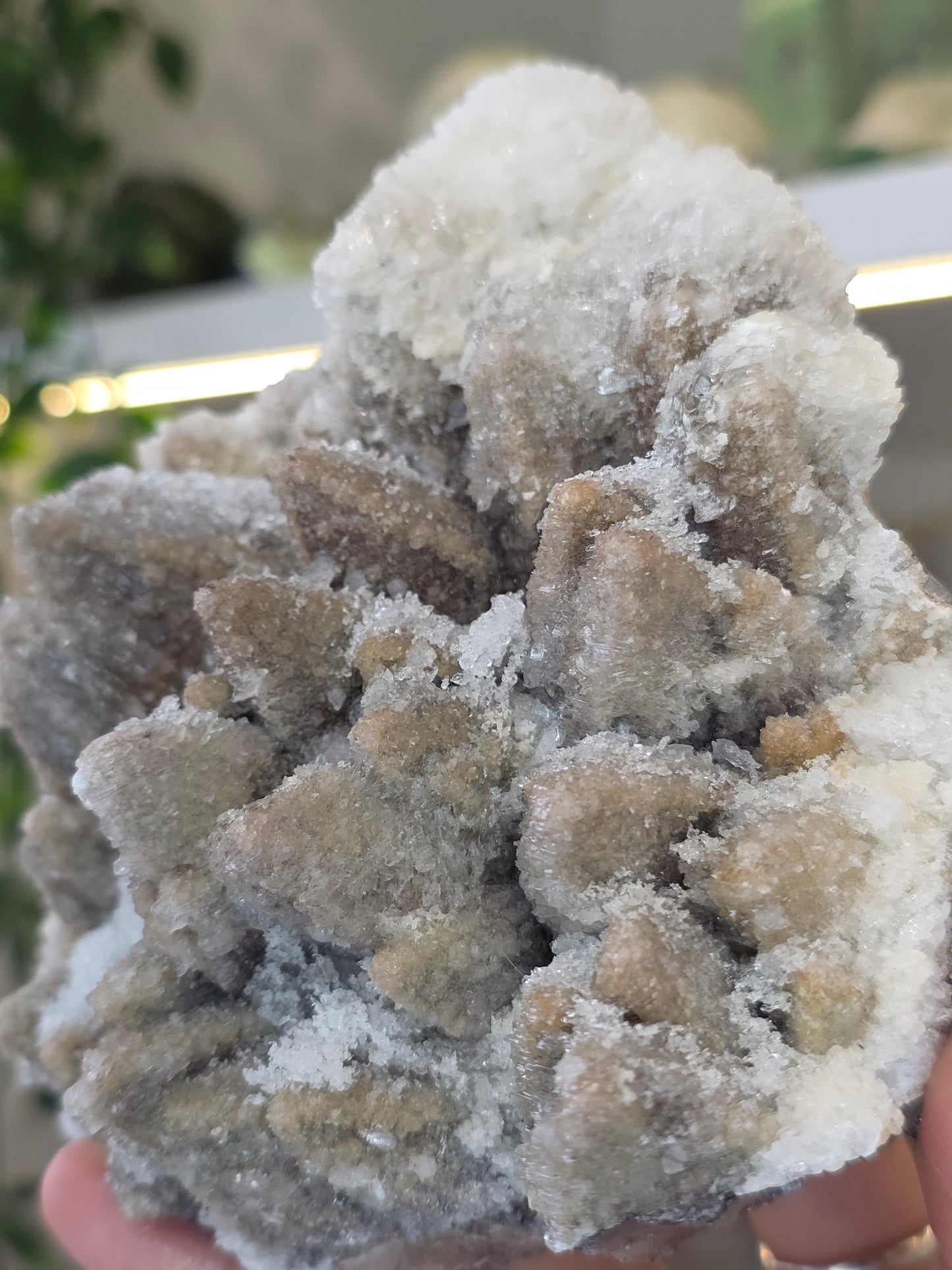 Dogtooth Calcite on Fluorite with Sparkly Selenite Coating Santa Eulalia, Chihuahua, Mexico - A