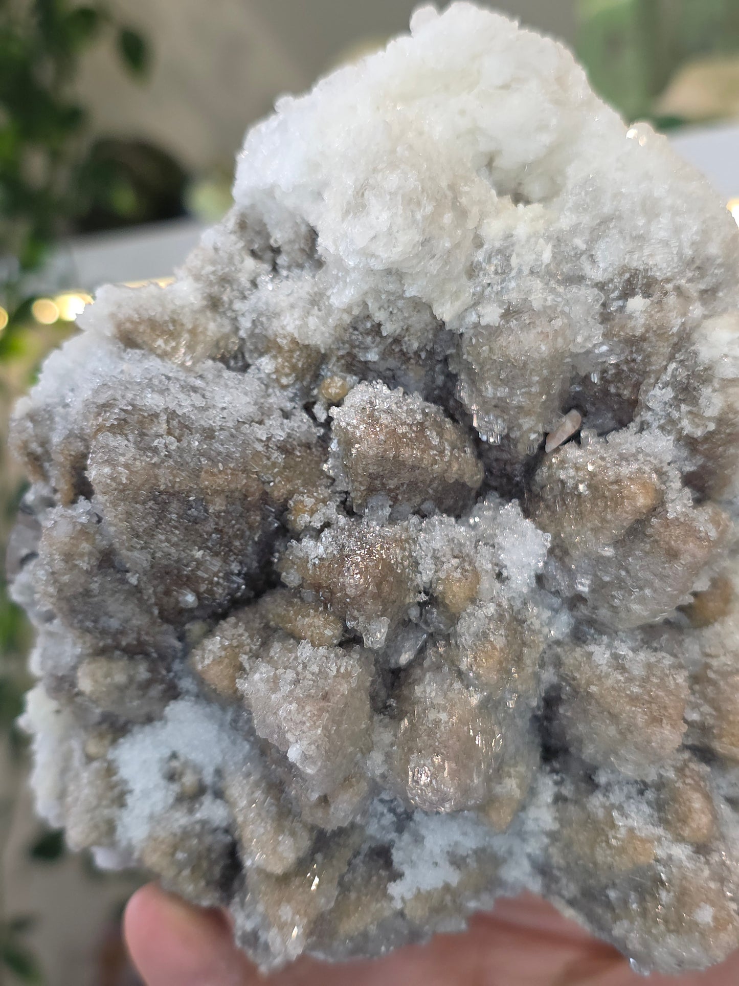 Dogtooth Calcite on Fluorite with Sparkly Selenite Coating Santa Eulalia, Chihuahua, Mexico - A