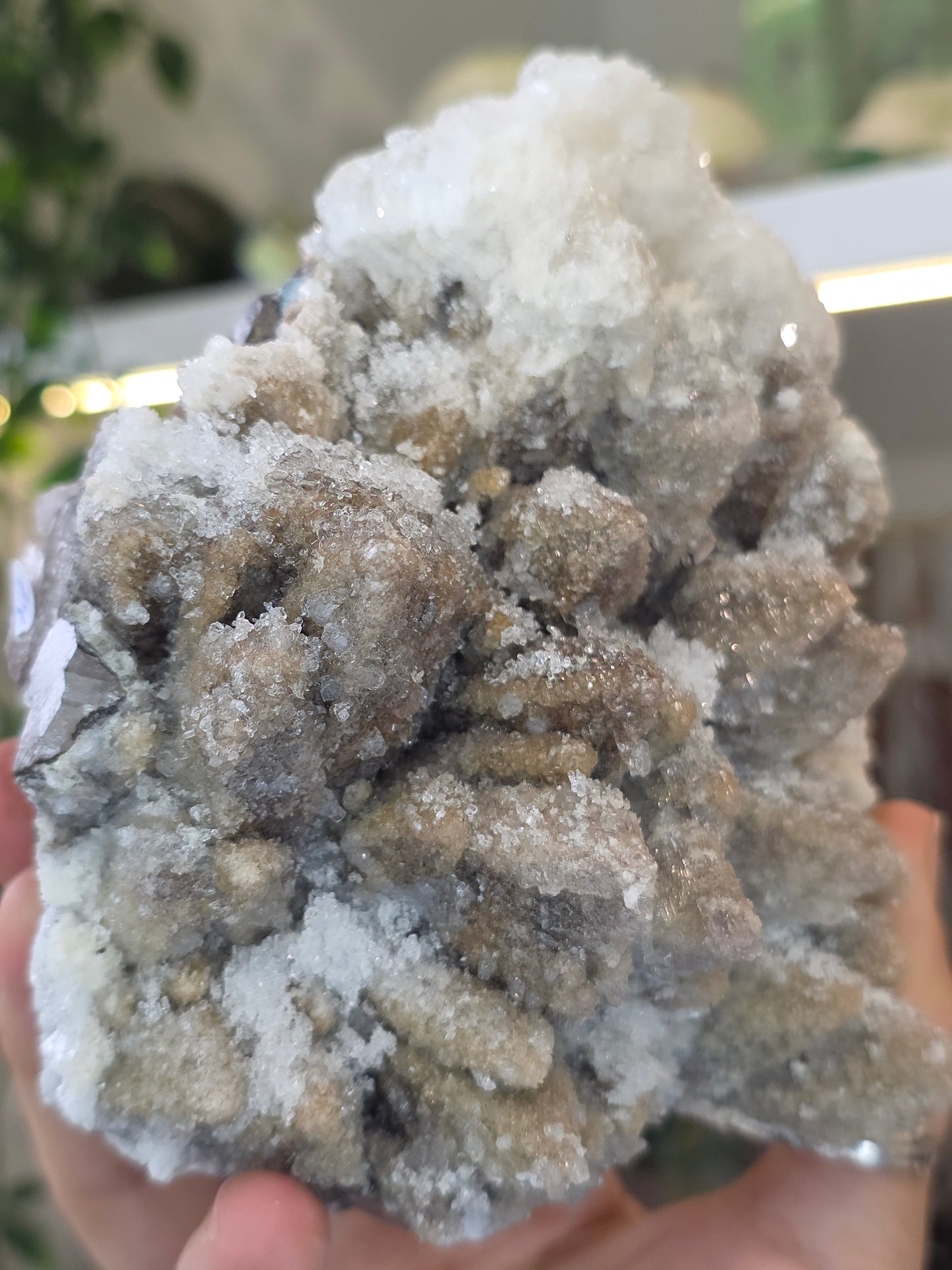 Dogtooth Calcite on Fluorite with Sparkly Selenite Coating Santa Eulalia, Chihuahua, Mexico - A