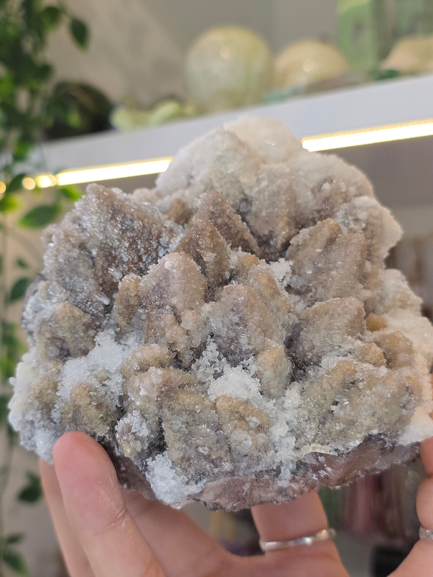 Dogtooth Calcite on Fluorite with Sparkly Selenite Coating Santa Eulalia, Chihuahua, Mexico - A