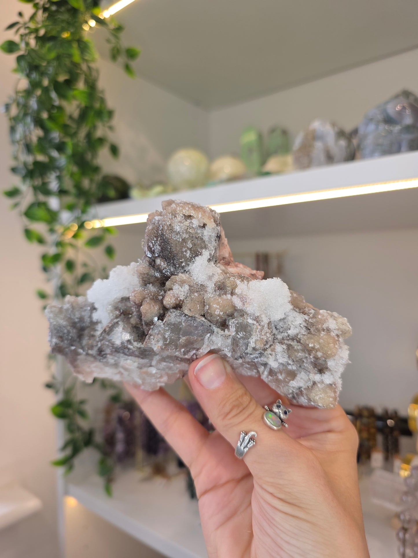 Dogtooth Calcite on Fluorite with Sparkly Selenite Coating Santa Eulalia, Chihuahua, Mexico - B