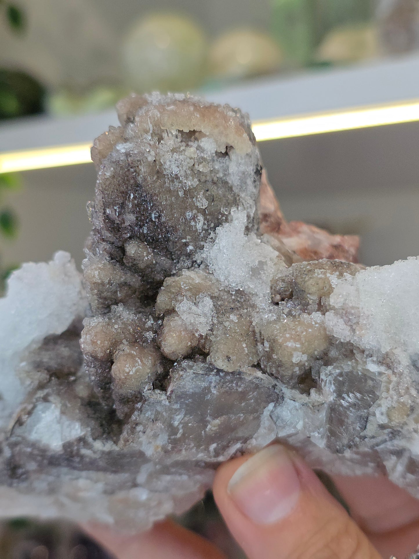 Dogtooth Calcite on Fluorite with Sparkly Selenite Coating Santa Eulalia, Chihuahua, Mexico - B