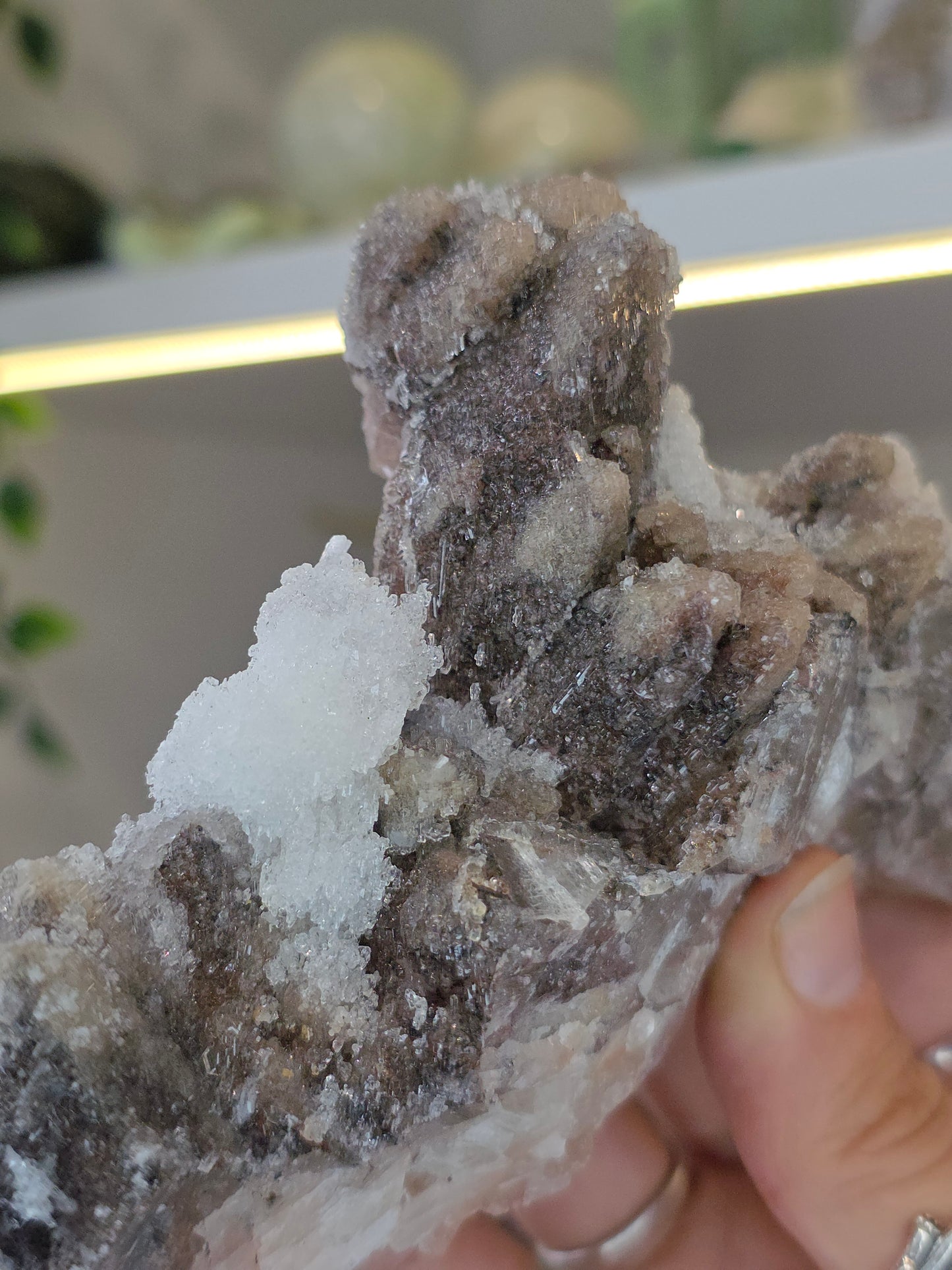 Dogtooth Calcite on Fluorite with Sparkly Selenite Coating Santa Eulalia, Chihuahua, Mexico - B