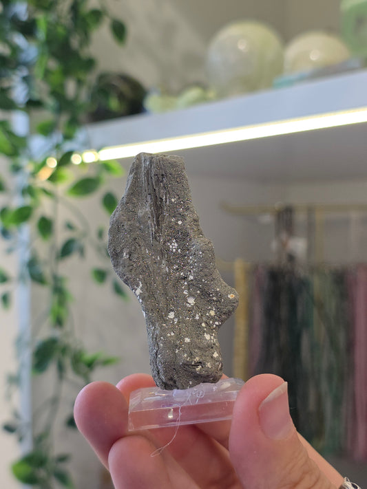 Pyritised Petrified Wood Specimen from Indonesia - A