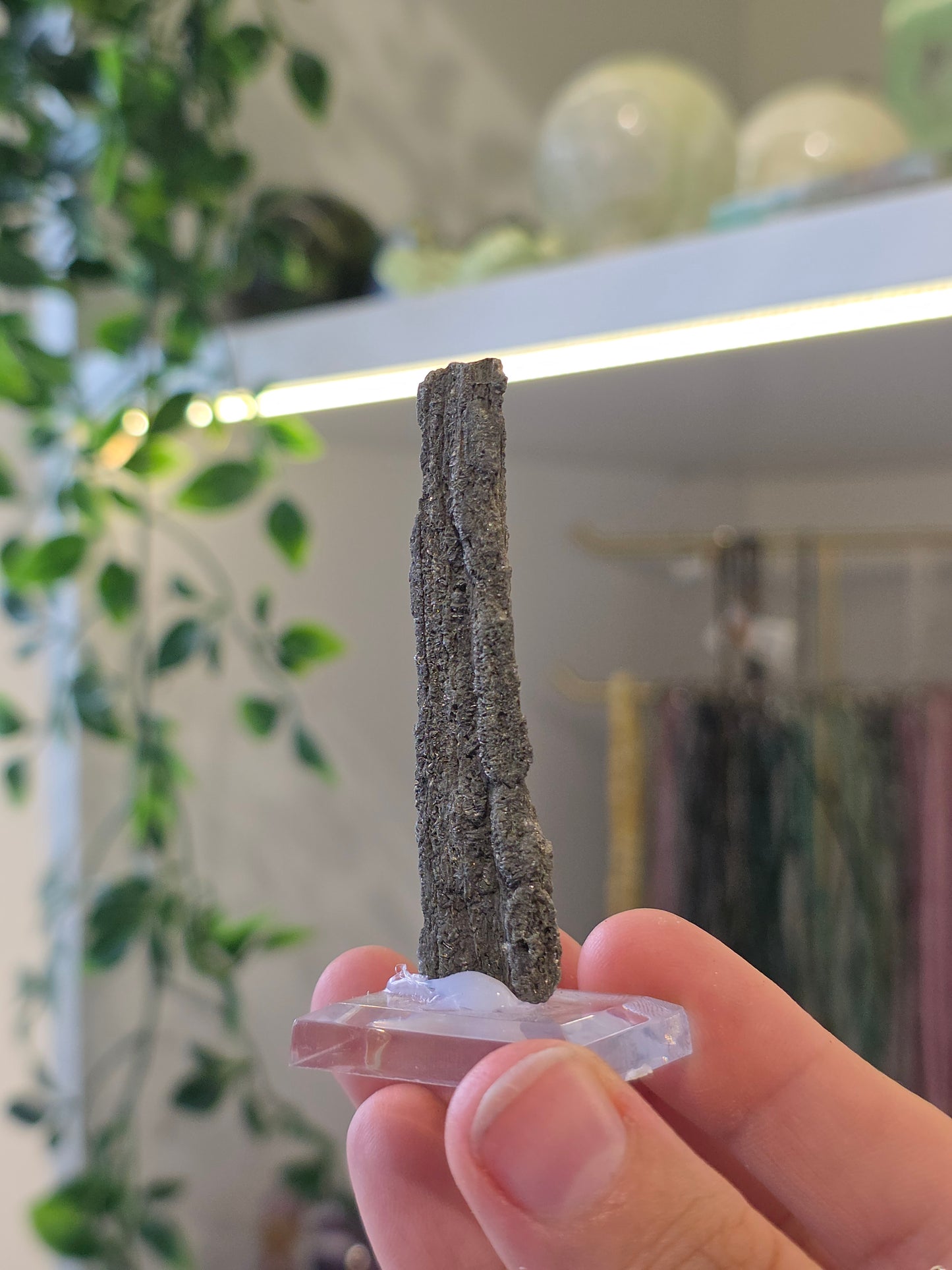 Pyritised Petrified Wood Specimen from Indonesia - I