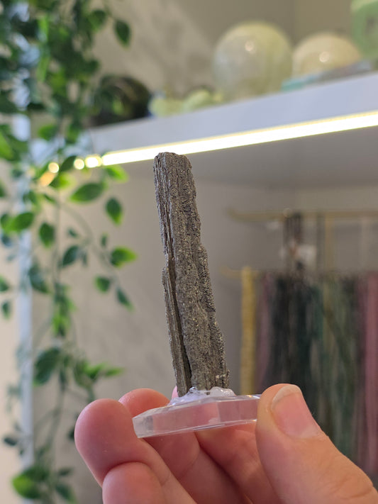 Pyritised Petrified Wood Specimen from Indonesia - I