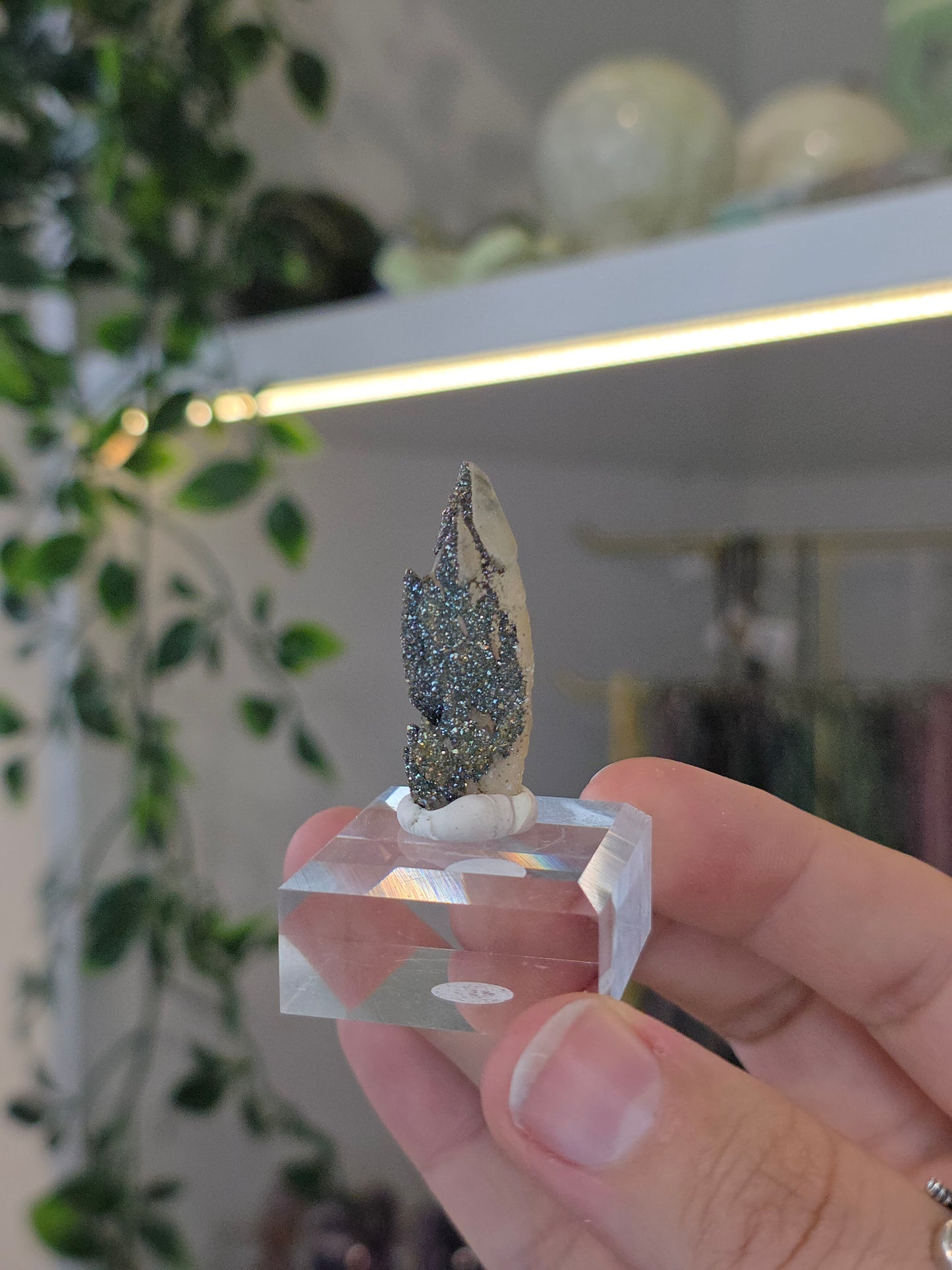Rare Colourful Chalcopyrite on Feather Calcite from Daye, China - A