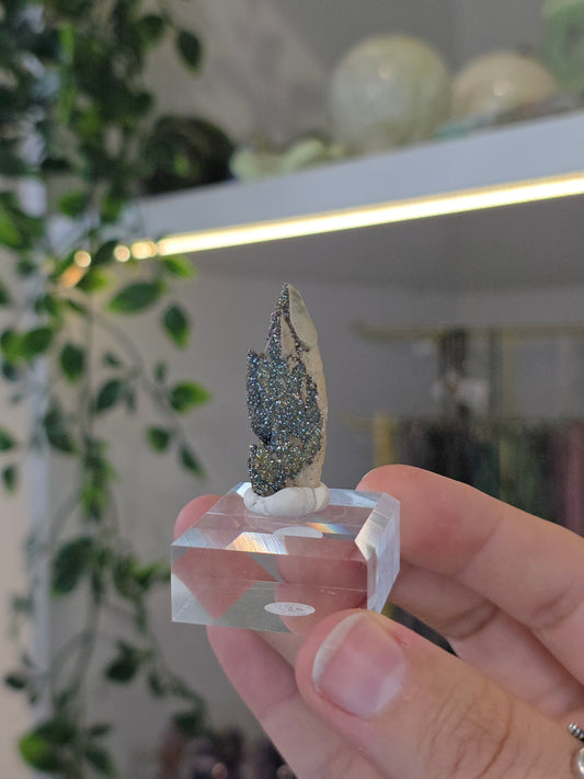 Rare Colourful Chalcopyrite on Feather Calcite from Daye, China - A