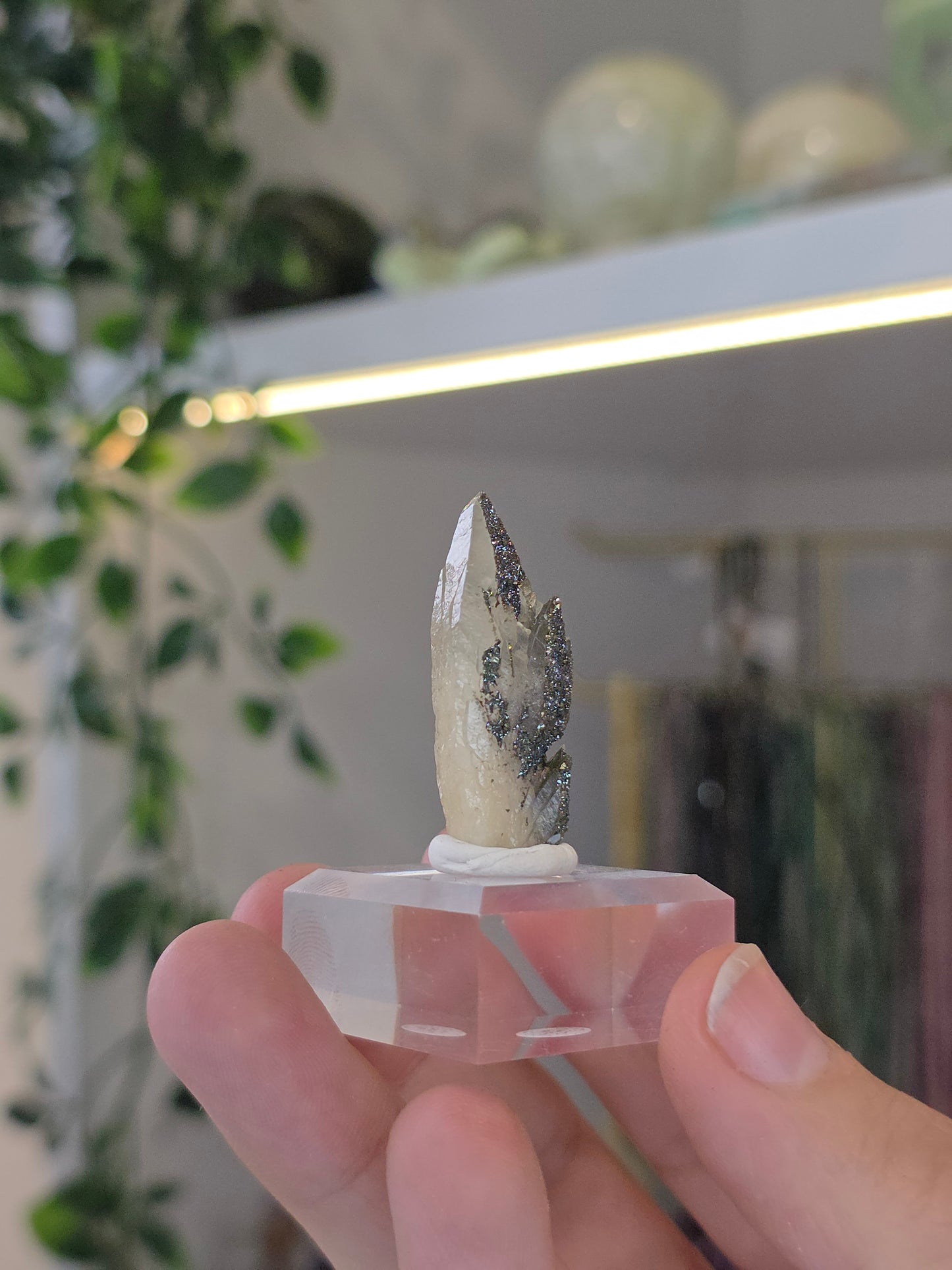 Rare Colourful Chalcopyrite on Feather Calcite from Daye, China - A