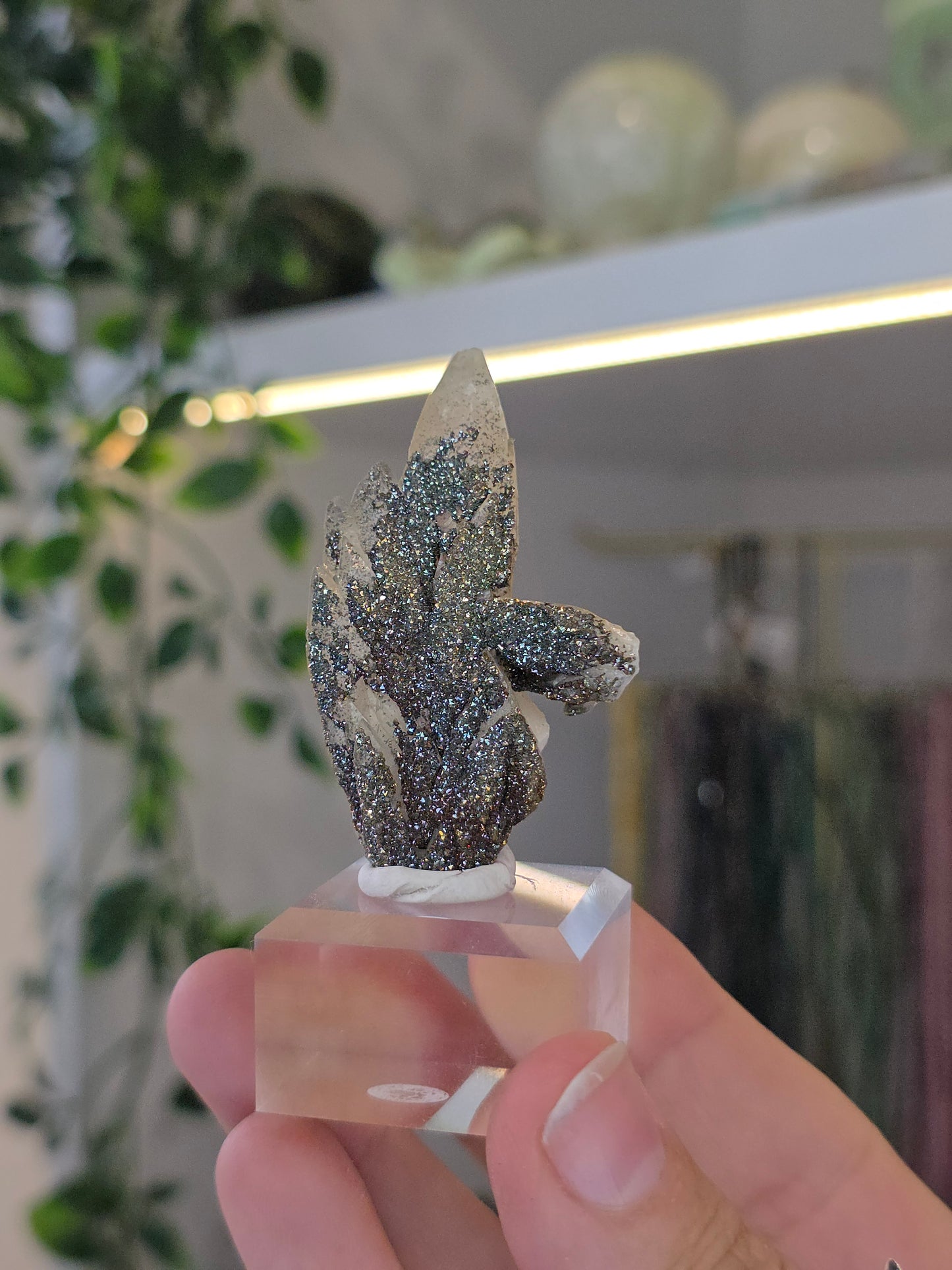 Rare Colourful Chalcopyrite on Feather Calcite from Daye, China - B