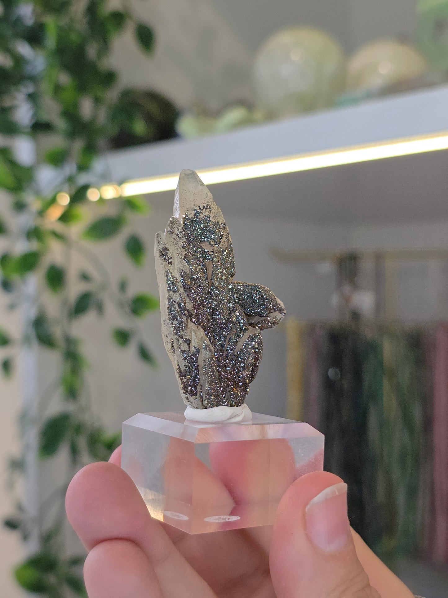 Rare Colourful Chalcopyrite on Feather Calcite from Daye, China - B