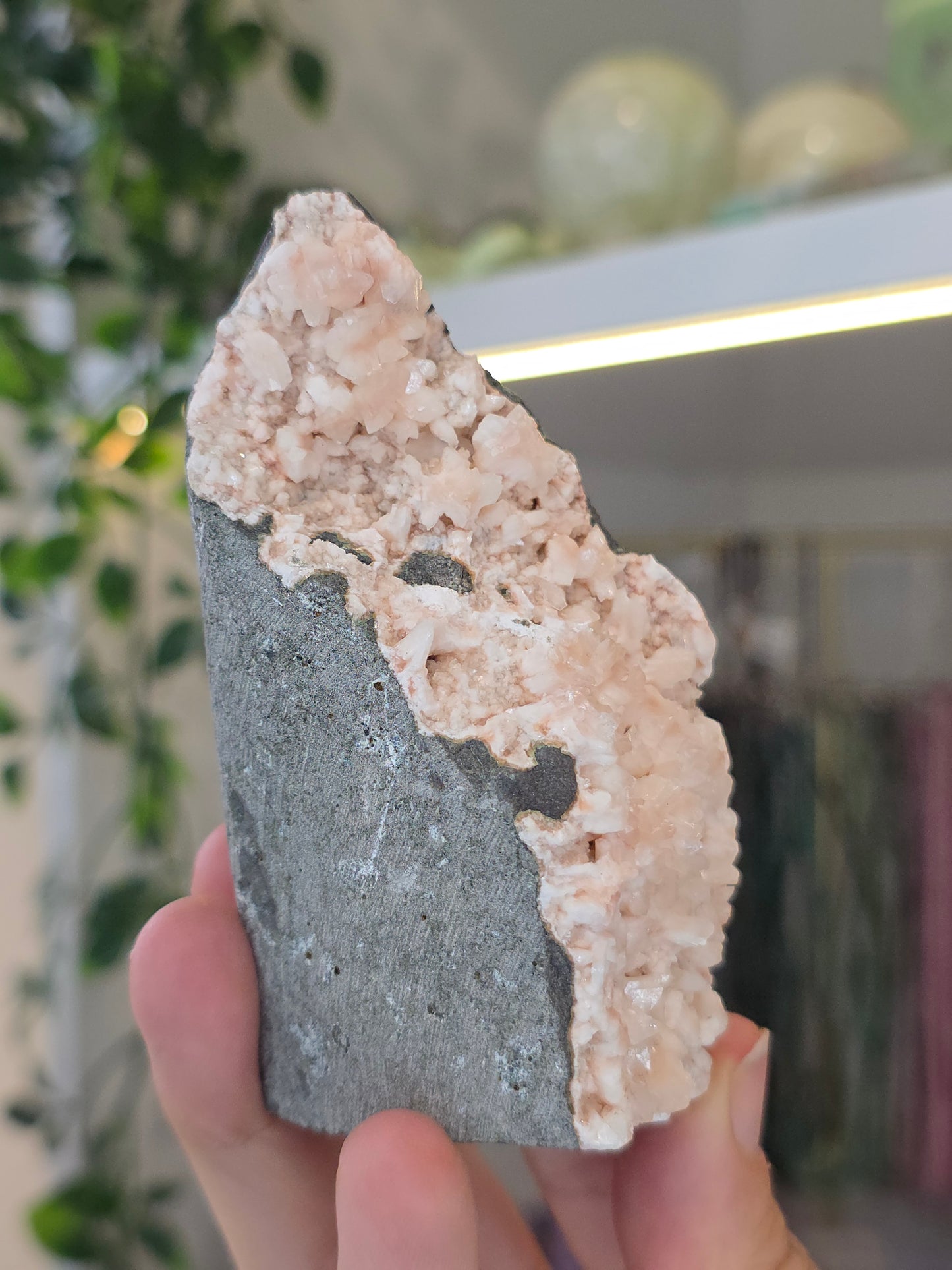 Pink Heulandite with Stilbite on Basalt Matrix from Mumbai, Maharashtra, India - L