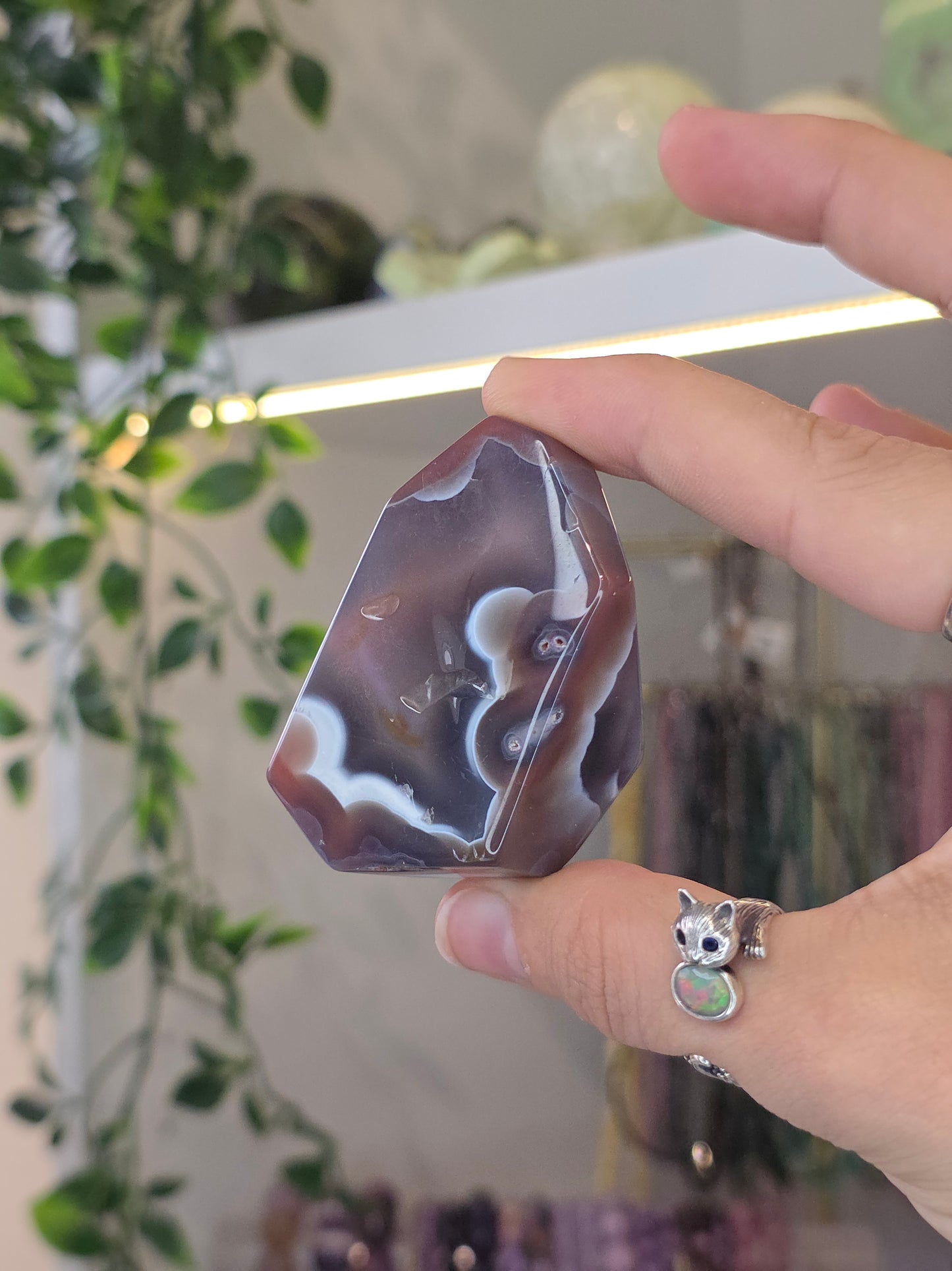 Various Swazi Agate Freeforms from Mozambique