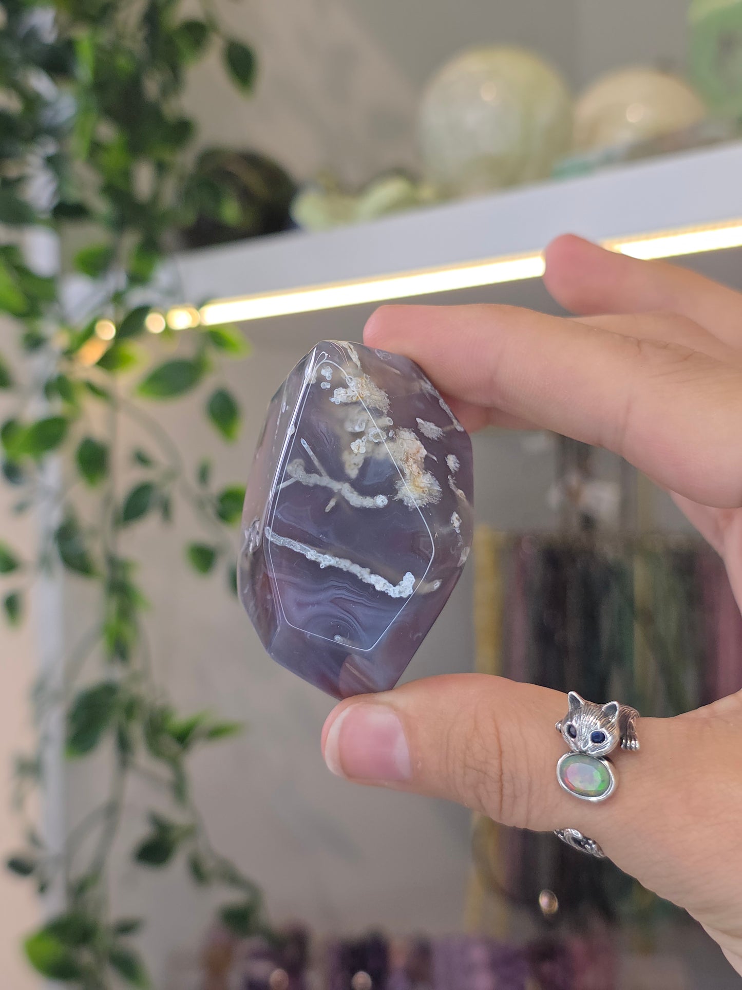 Various Swazi Agate Freeforms from Mozambique
