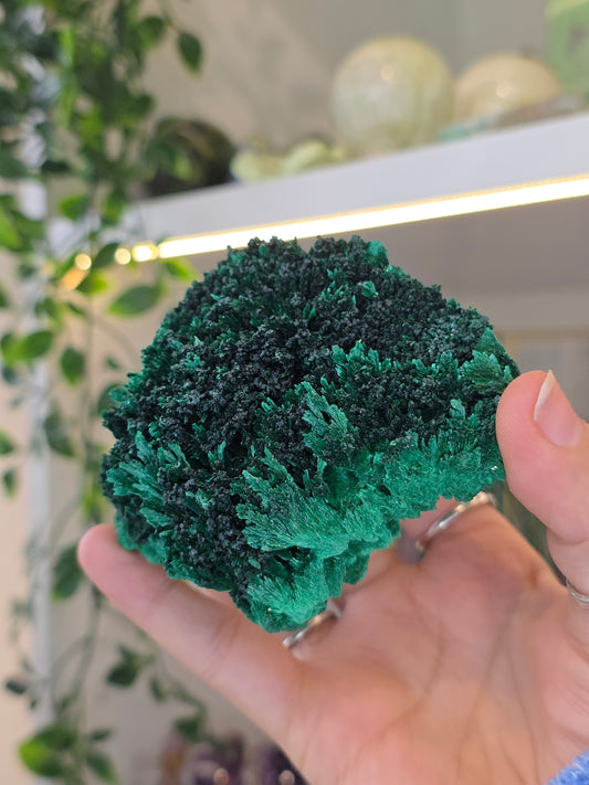 Velvet Fibrous Malachite Specimen from Fujian, China - E