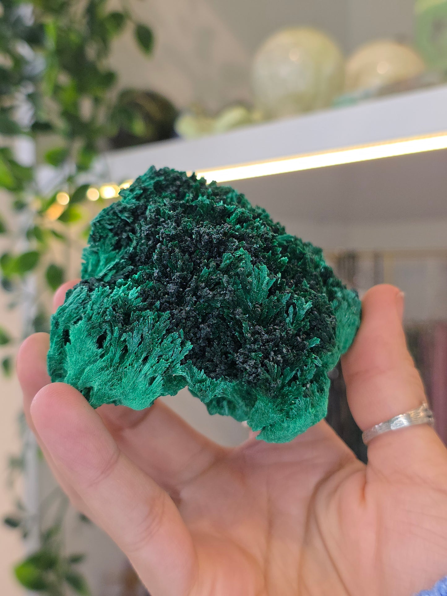 Velvet Fibrous Malachite Specimen from Fujian, China - E