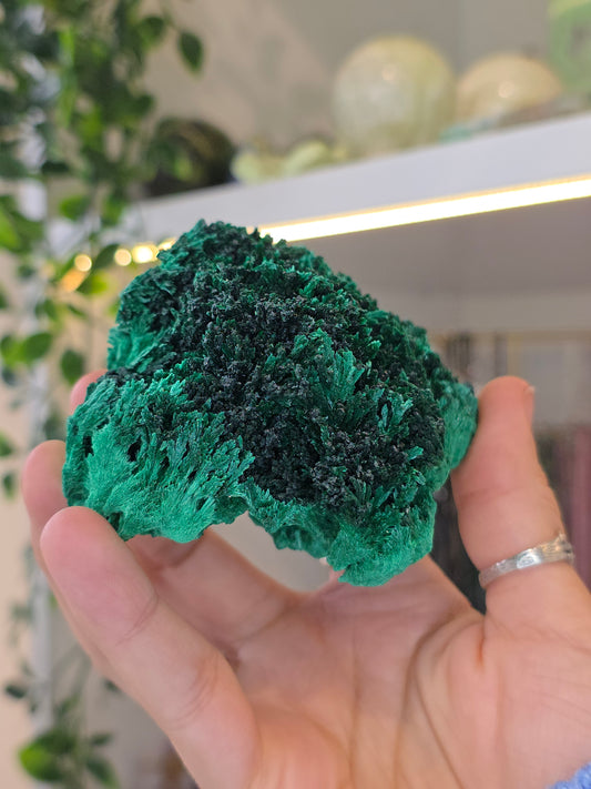 Velvet Fibrous Malachite Specimen from Fujian, China - E