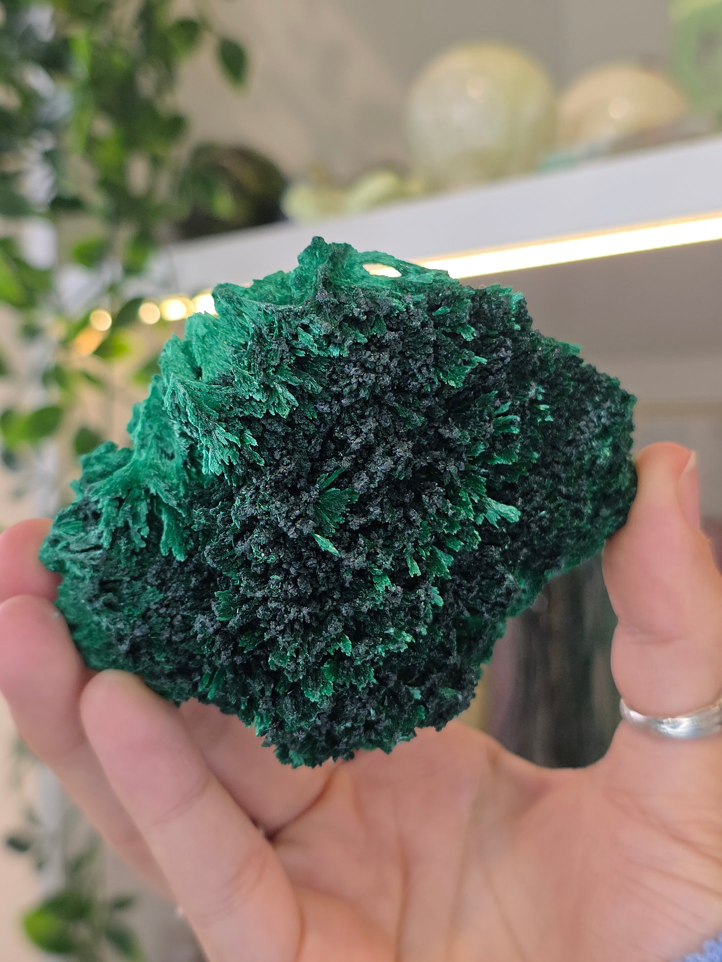 Velvet Fibrous Malachite Specimen from Fujian, China - E