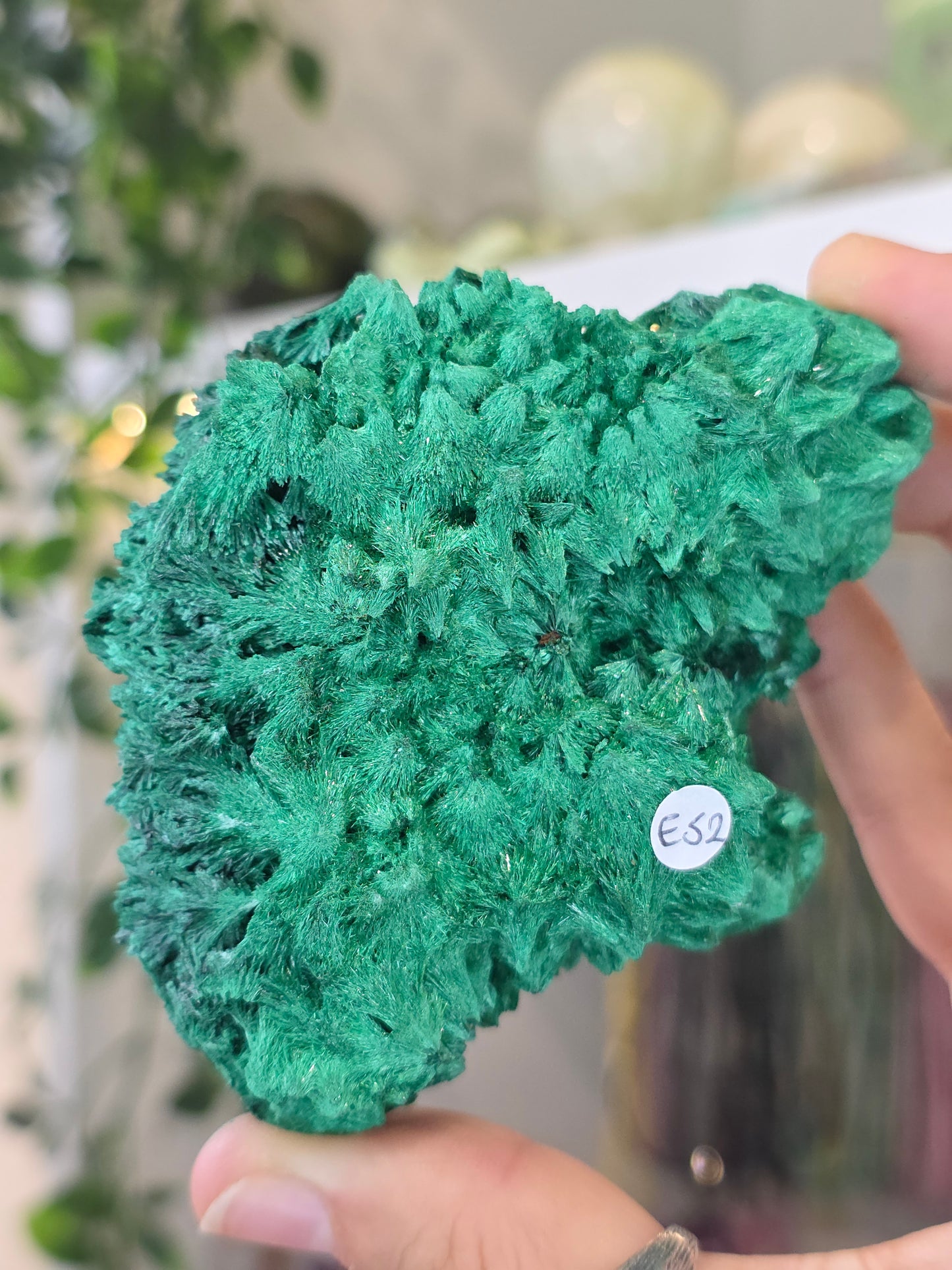 Velvet Fibrous Malachite Specimen from Fujian, China - E