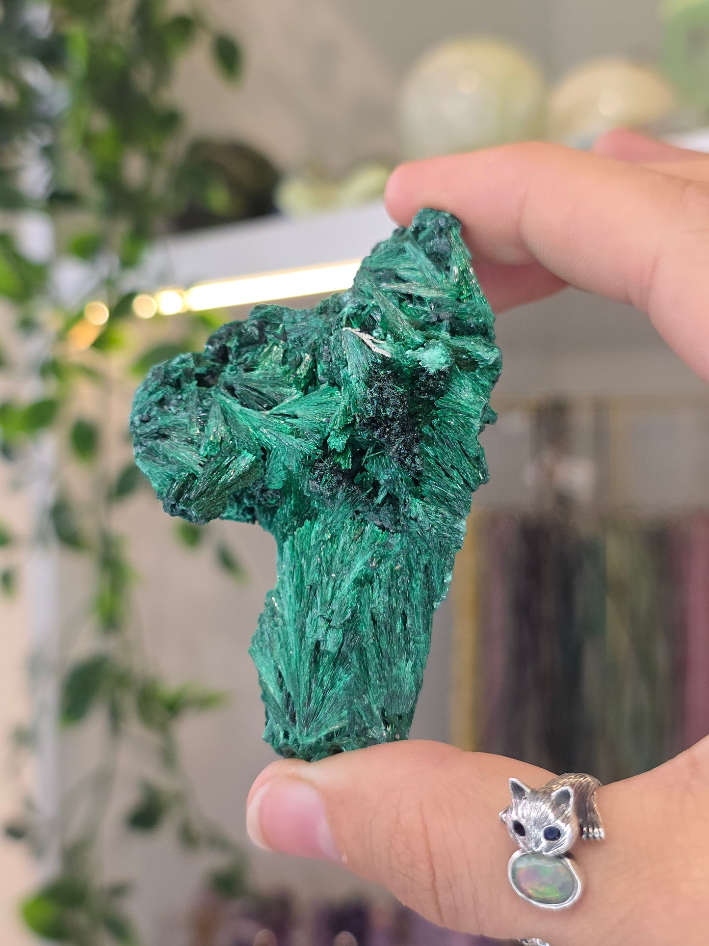 Velvet Fibrous Malachite Specimen from Fujian, China - C