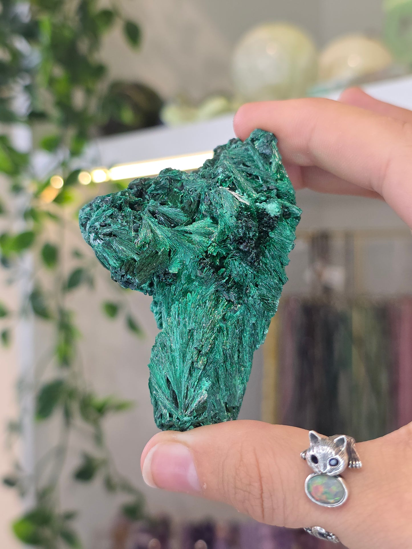 Velvet Fibrous Malachite Specimen from Fujian, China - C