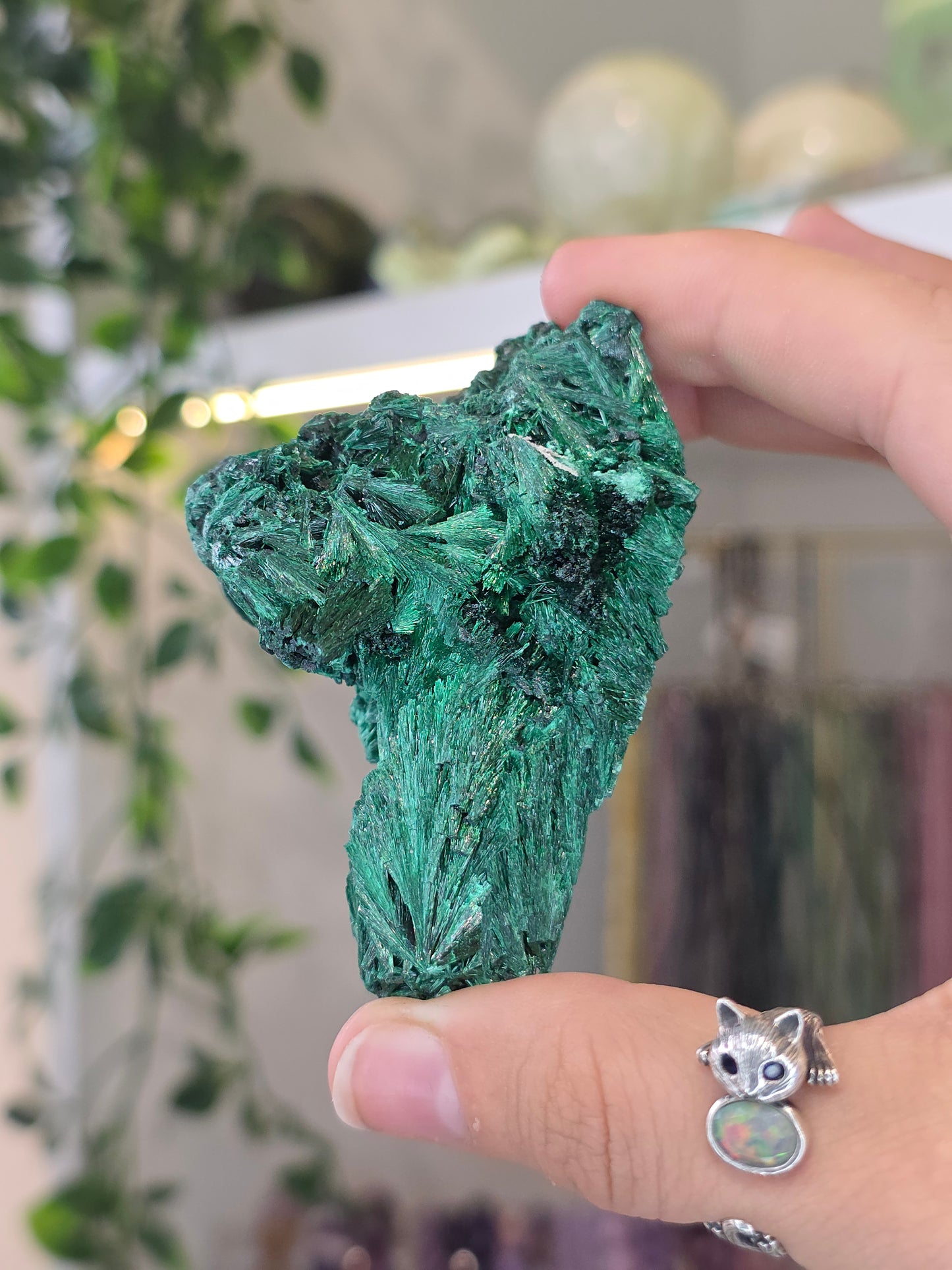 Velvet Fibrous Malachite Specimen from Fujian, China - C