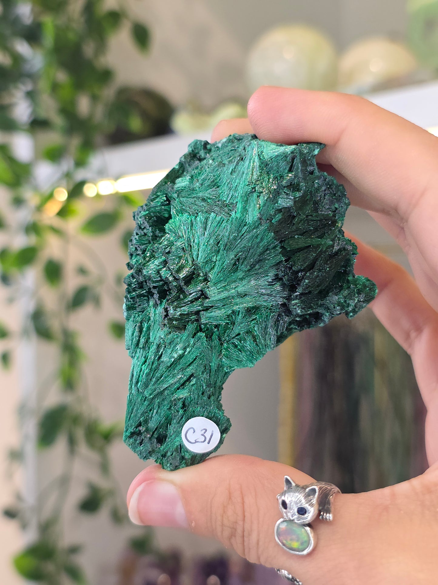 Velvet Fibrous Malachite Specimen from Fujian, China - C