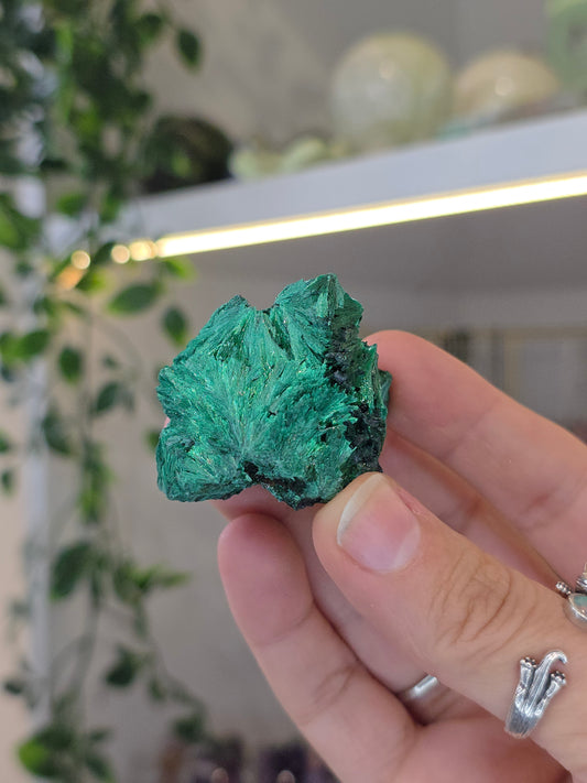 Velvet Fibrous Malachite Specimen from Fujian, China - A