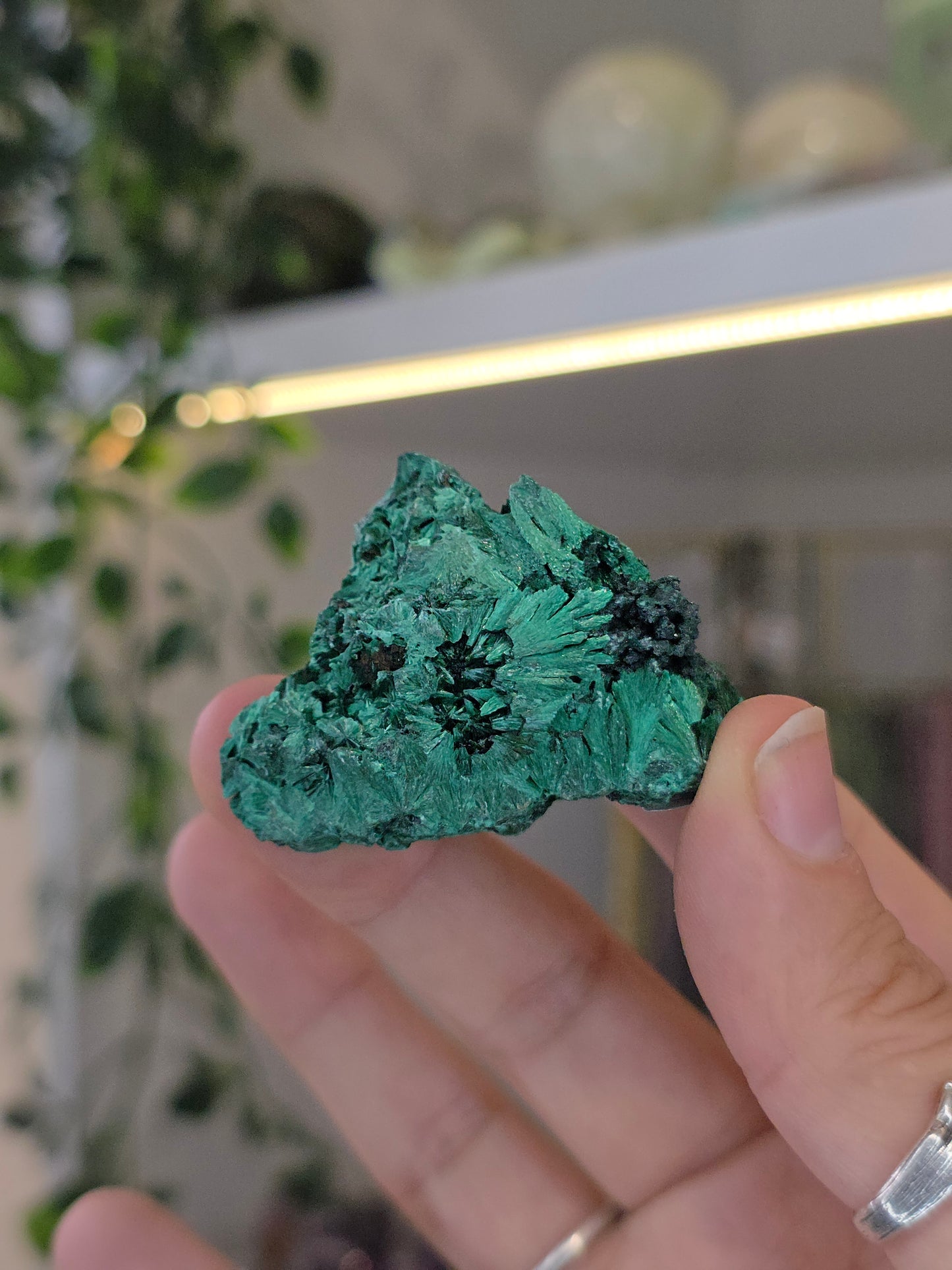 Velvet Fibrous Malachite Specimen from Fujian, China - A