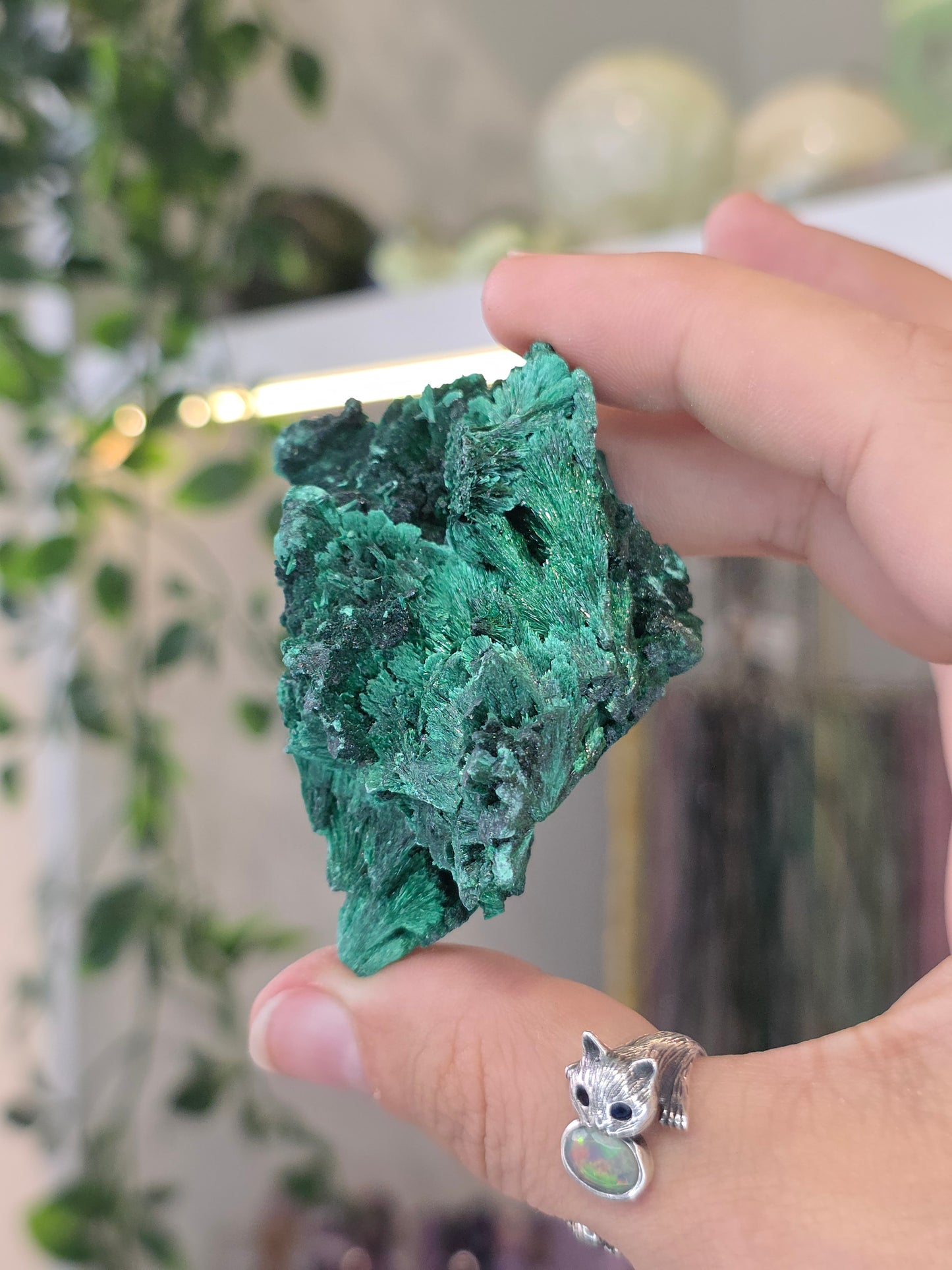 Velvet Fibrous Malachite Specimen from Fujian, China - B
