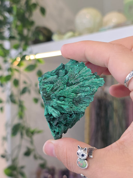 Velvet Fibrous Malachite Specimen from Fujian, China - D