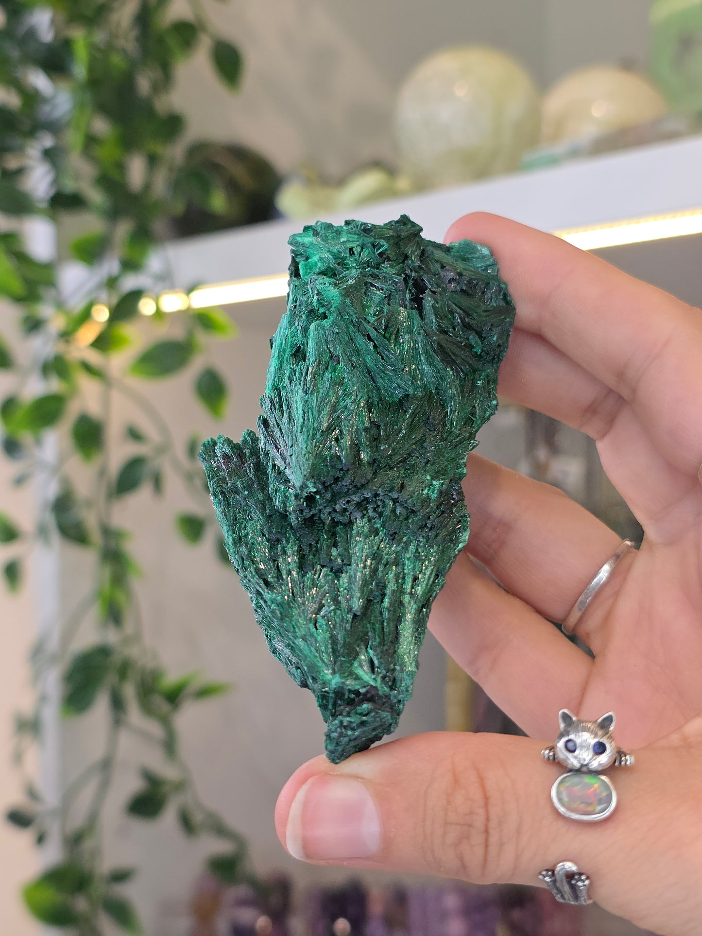 Velvet Fibrous Malachite Specimen from Fujian, China - D