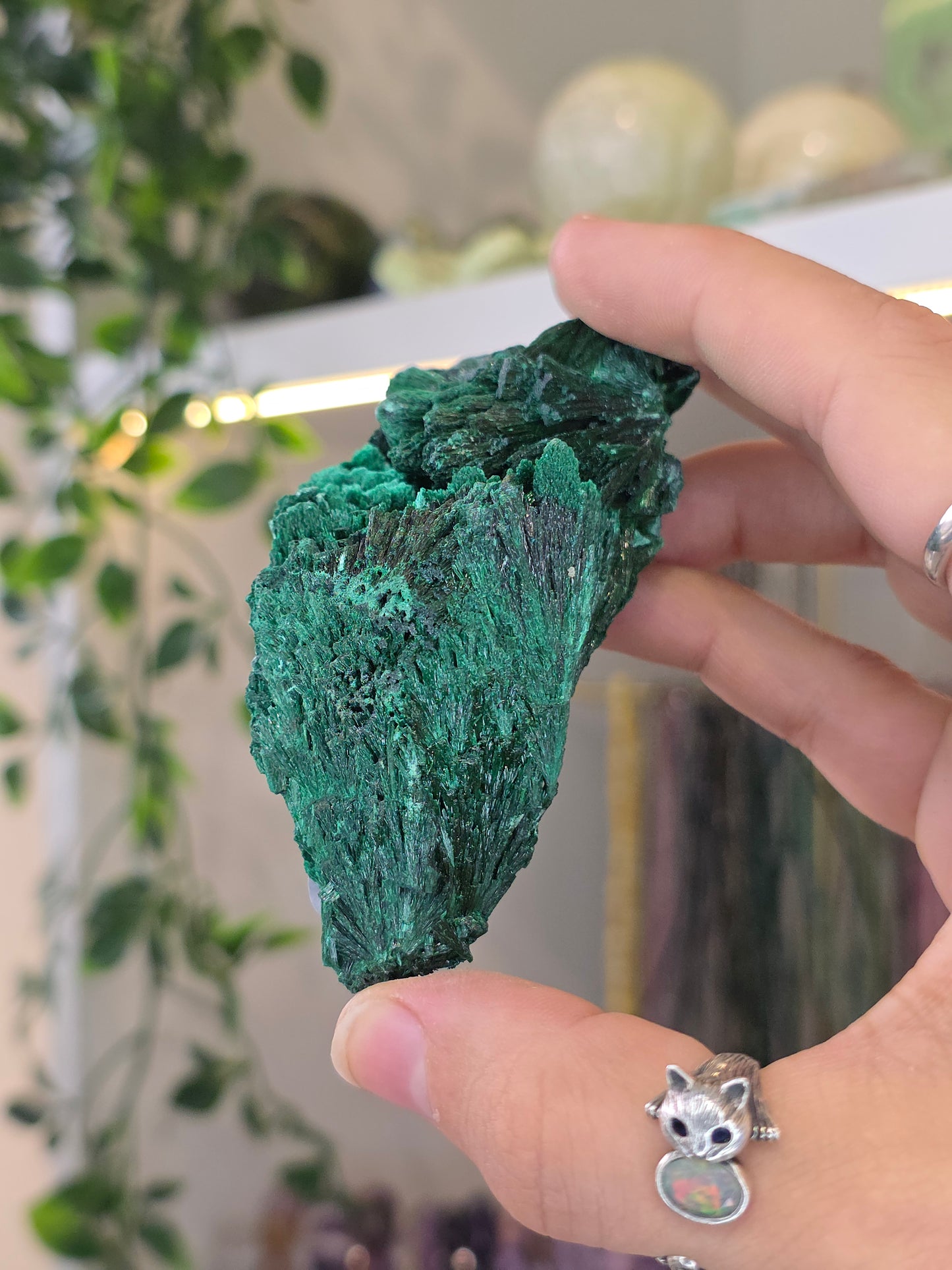Velvet Fibrous Malachite Specimen from Fujian, China - D