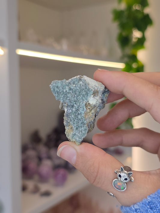 Borcarite with Vesuvianite from the Del Rey Mine, Charcas, San Luis Potosi, Mexico