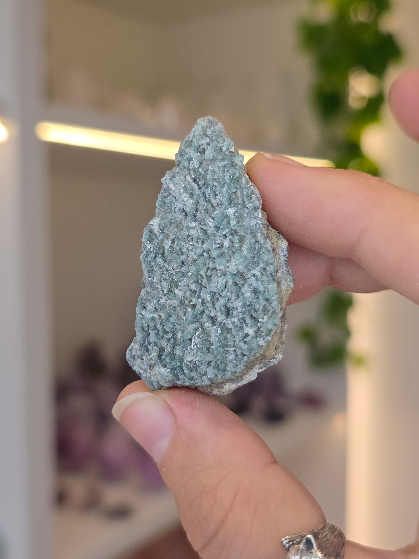 Borcarite with Vesuvianite from the Del Rey Mine, Charcas, San Luis Potosi, Mexico
