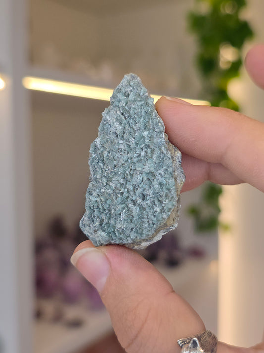Borcarite with Vesuvianite from the Del Rey Mine, Charcas, San Luis Potosi, Mexico