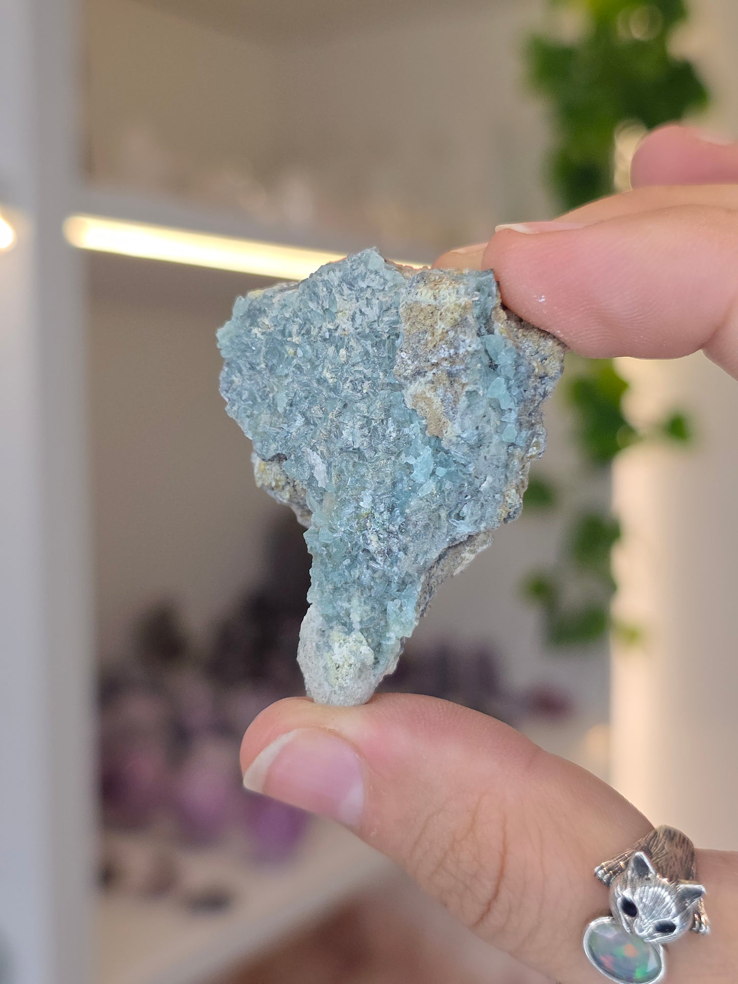 Borcarite with Vesuvianite from the Del Rey Mine, Charcas, San Luis Potosi, Mexico