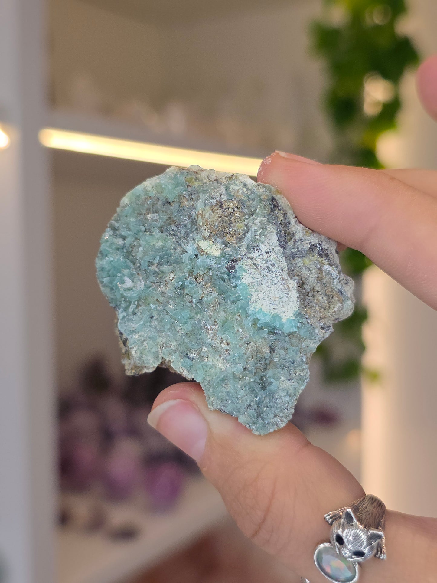 Borcarite with Vesuvianite from the Del Rey Mine, Charcas, San Luis Potosi, Mexico