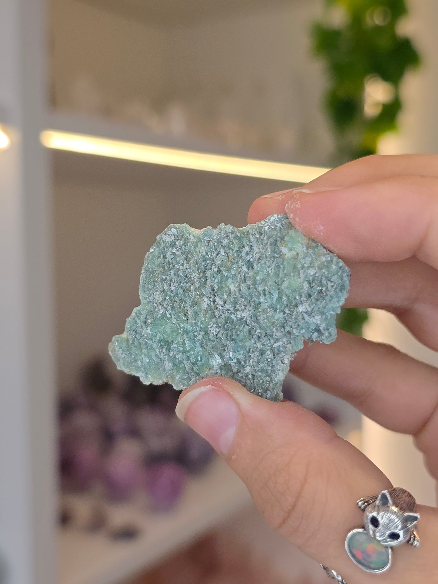 Borcarite with Vesuvianite from the Del Rey Mine, Charcas, San Luis Potosi, Mexico