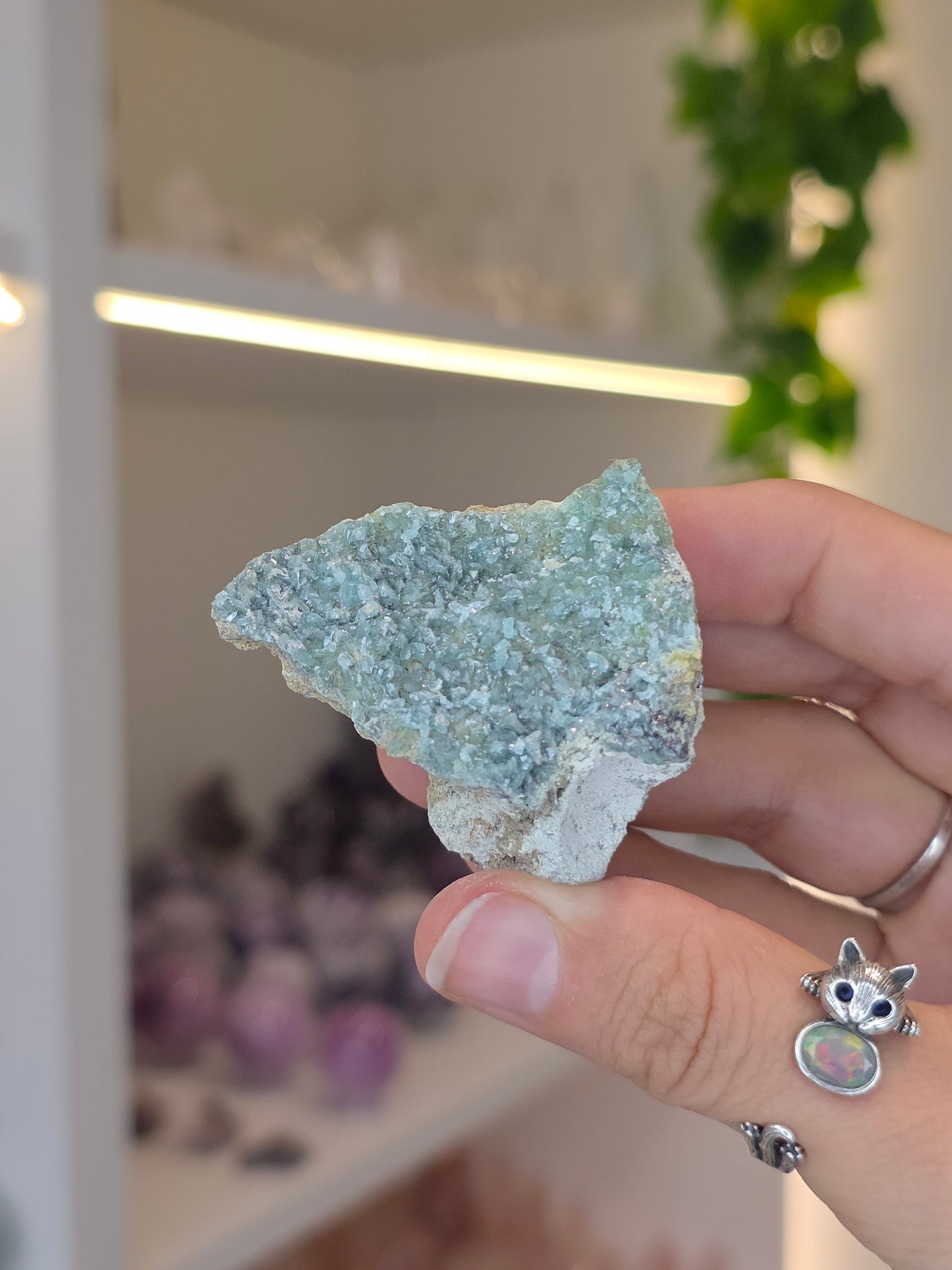 Borcarite with Vesuvianite from the Del Rey Mine, Charcas, San Luis Potosi, Mexico