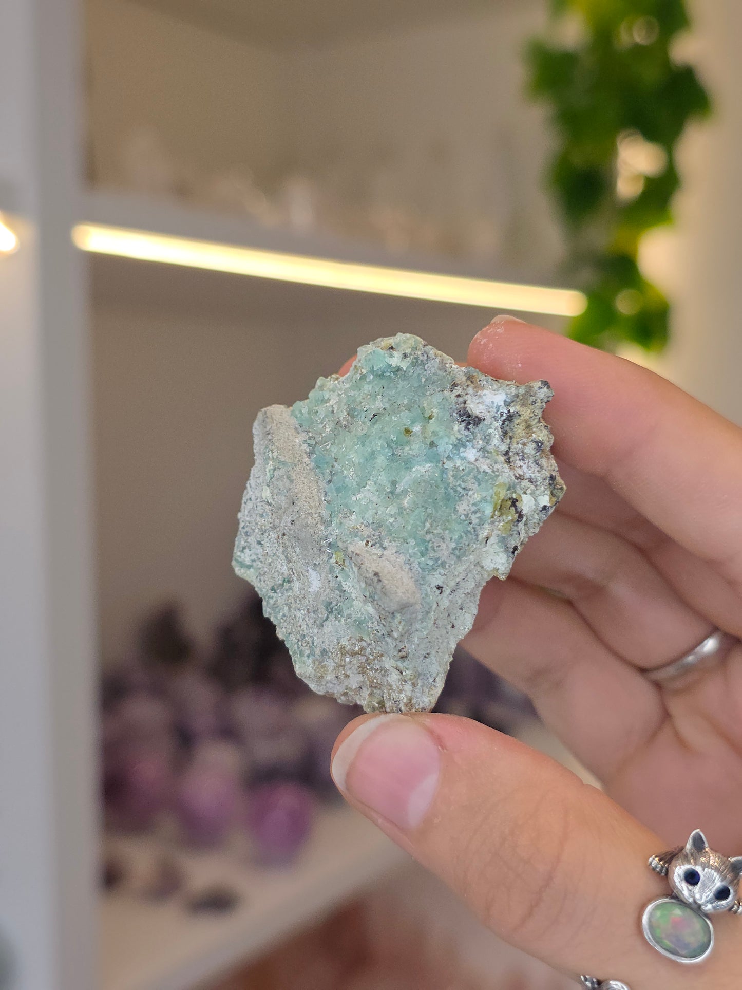 Borcarite with Vesuvianite from the Del Rey Mine, Charcas, San Luis Potosi, Mexico
