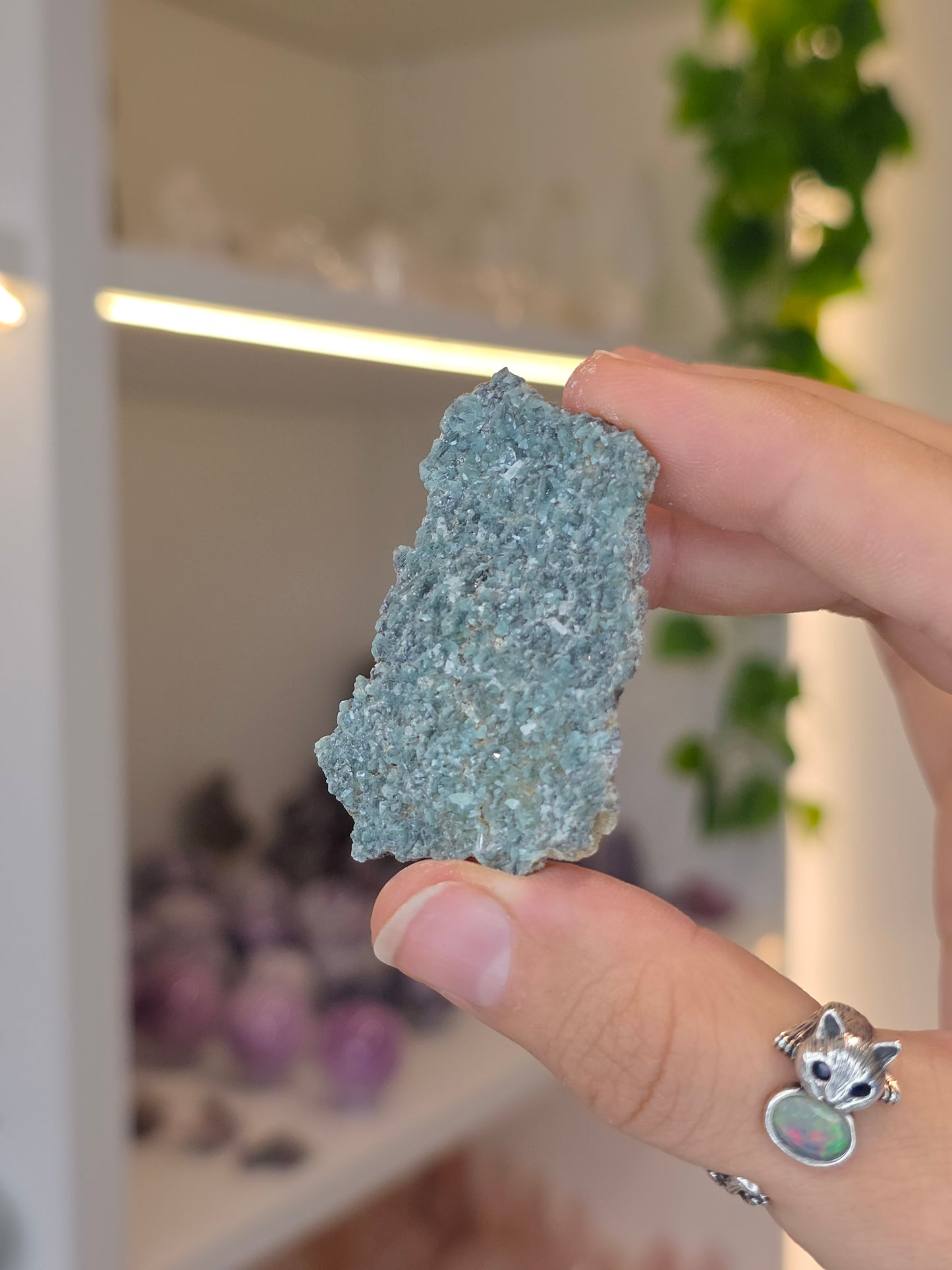 Borcarite with Vesuvianite from the Del Rey Mine, Charcas, San Luis Potosi, Mexico