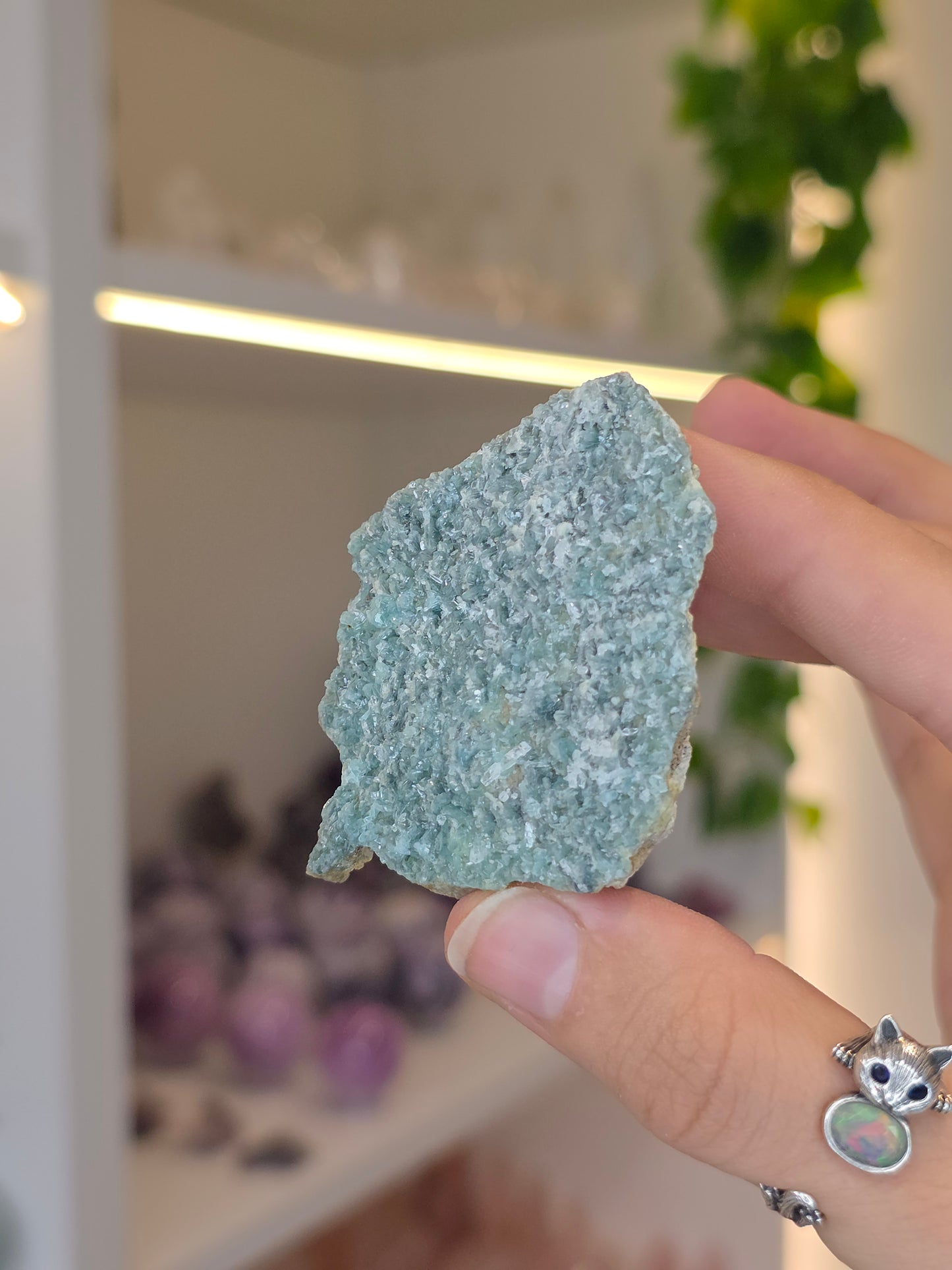 Borcarite with Vesuvianite from the Del Rey Mine, Charcas, San Luis Potosi, Mexico