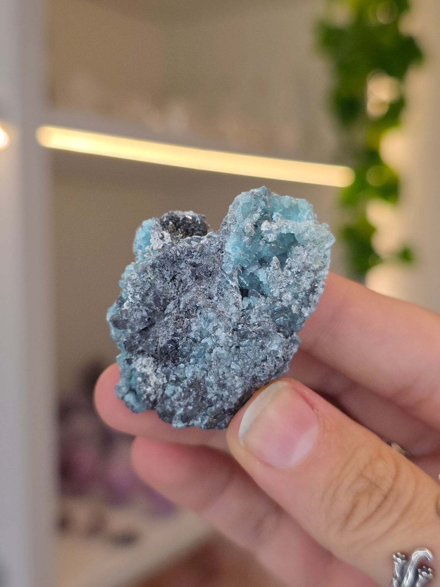 Higher Grade Borcarite with Vesuvianite from the Del Rey Mine, Charcas, San Luis Potosi, Mexico