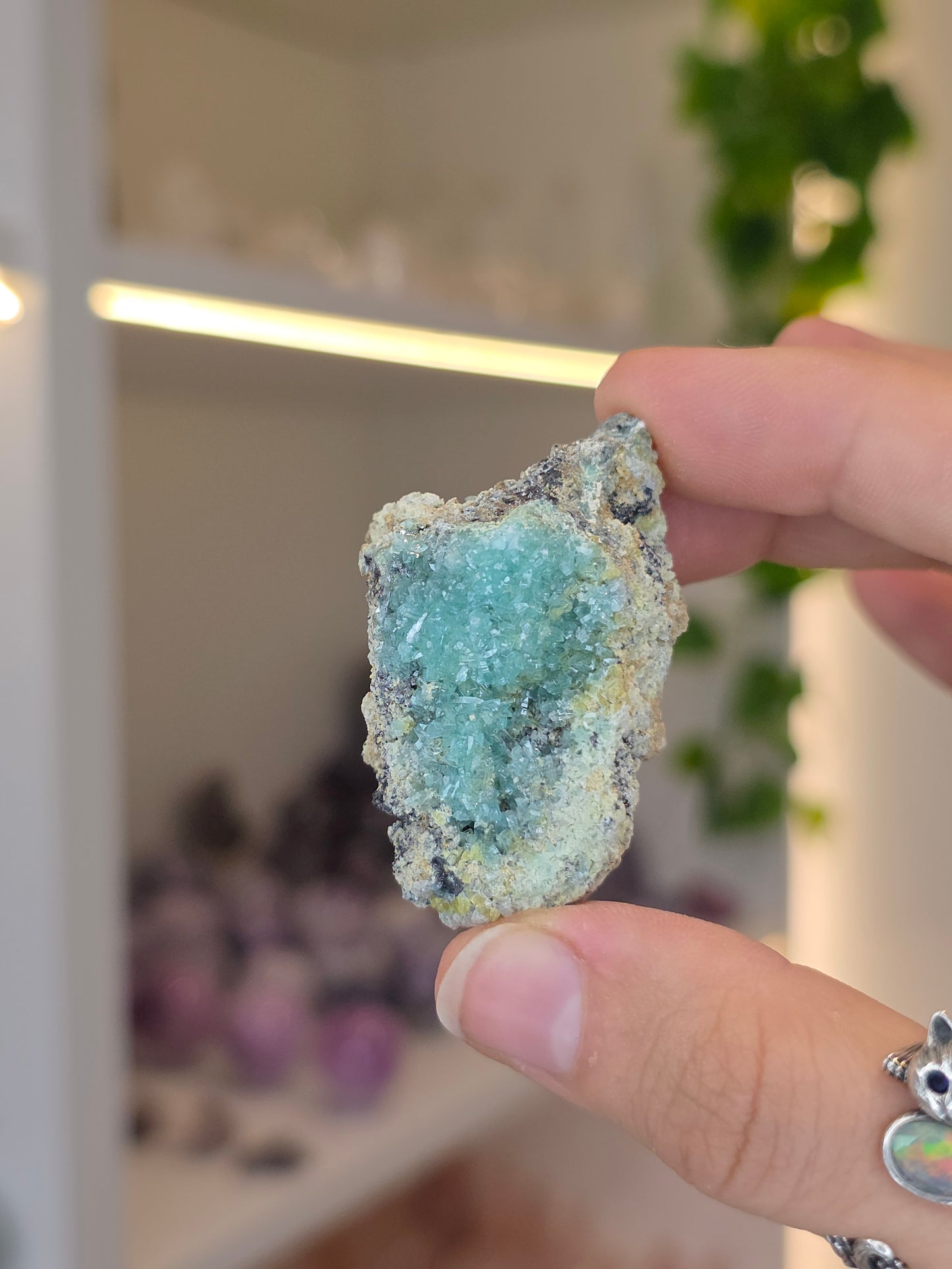 Higher Grade Borcarite with Vesuvianite from the Del Rey Mine, Charcas, San Luis Potosi, Mexico