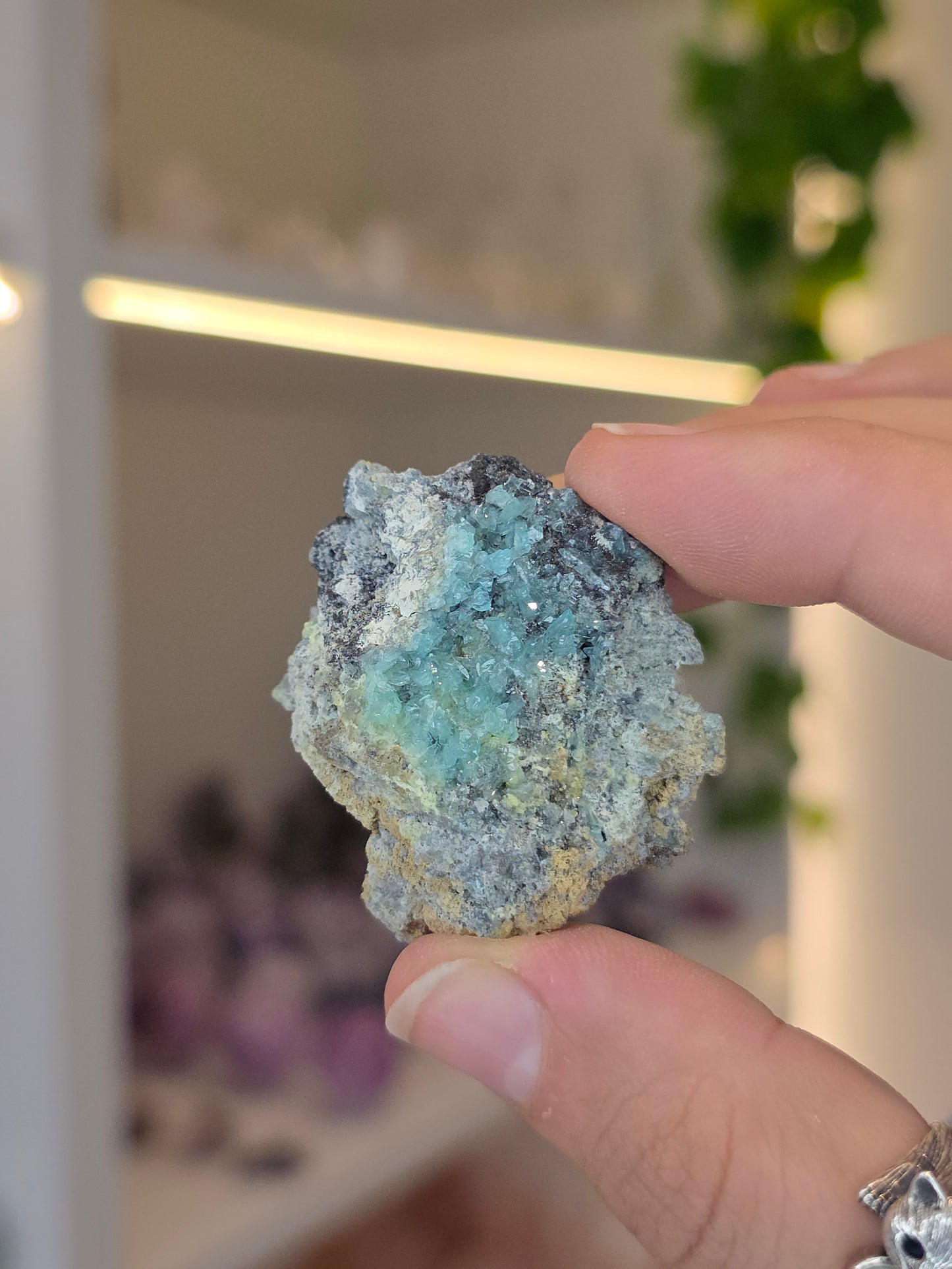 Higher Grade Borcarite with Vesuvianite from the Del Rey Mine, Charcas, San Luis Potosi, Mexico