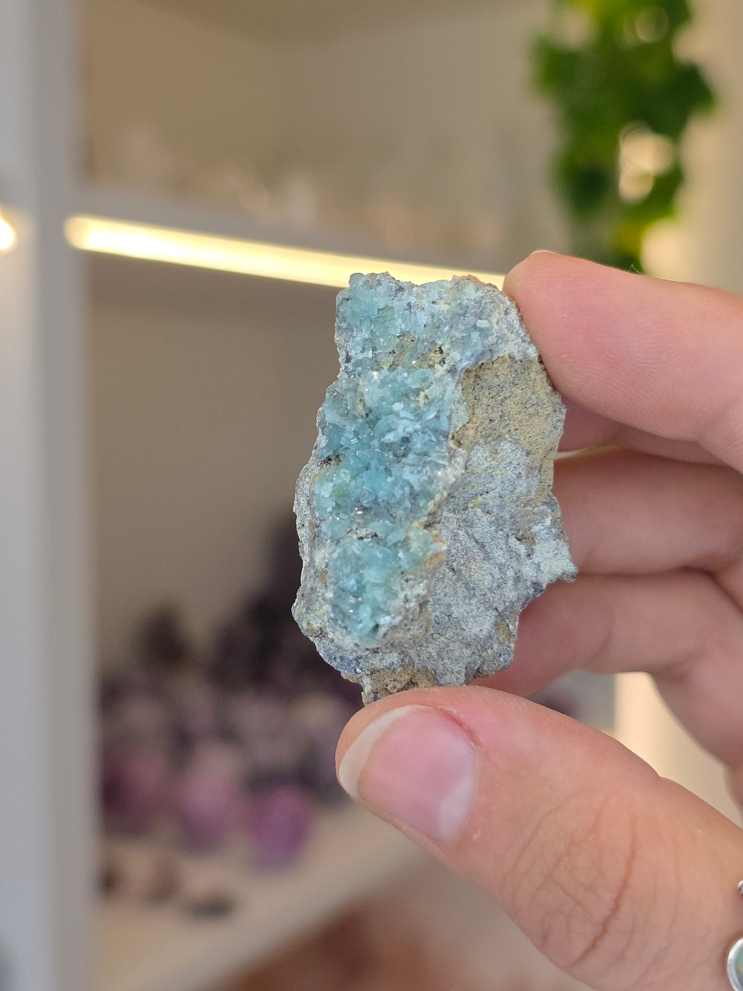 Higher Grade Borcarite with Vesuvianite from the Del Rey Mine, Charcas, San Luis Potosi, Mexico