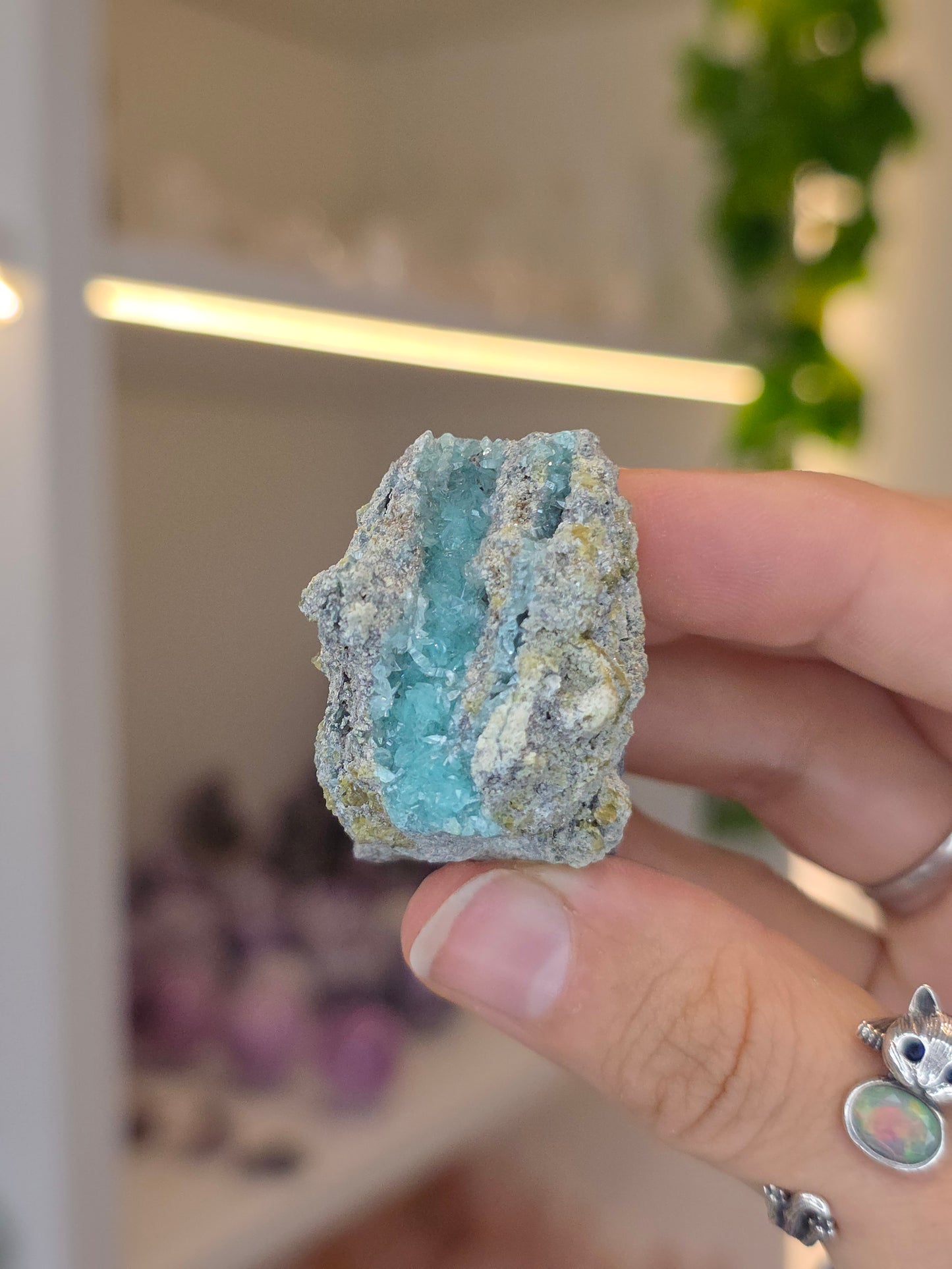 Higher Grade Borcarite with Vesuvianite from the Del Rey Mine, Charcas, San Luis Potosi, Mexico