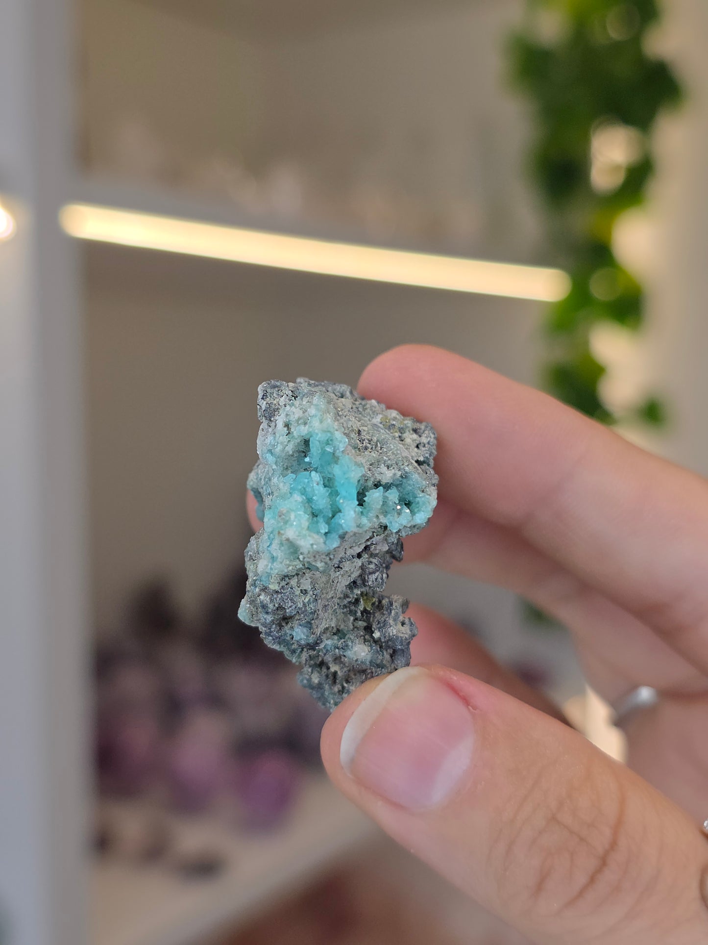 Higher Grade Borcarite with Vesuvianite from the Del Rey Mine, Charcas, San Luis Potosi, Mexico