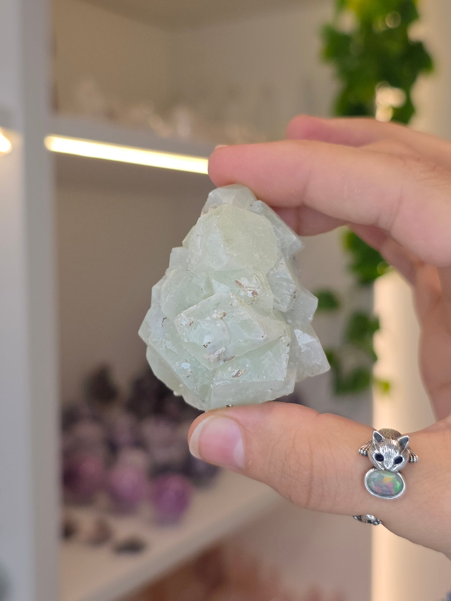 Datolite with Pyrite and Calcite from the Del Rey Mine, Charcas, San Luis Potosi, Mexico